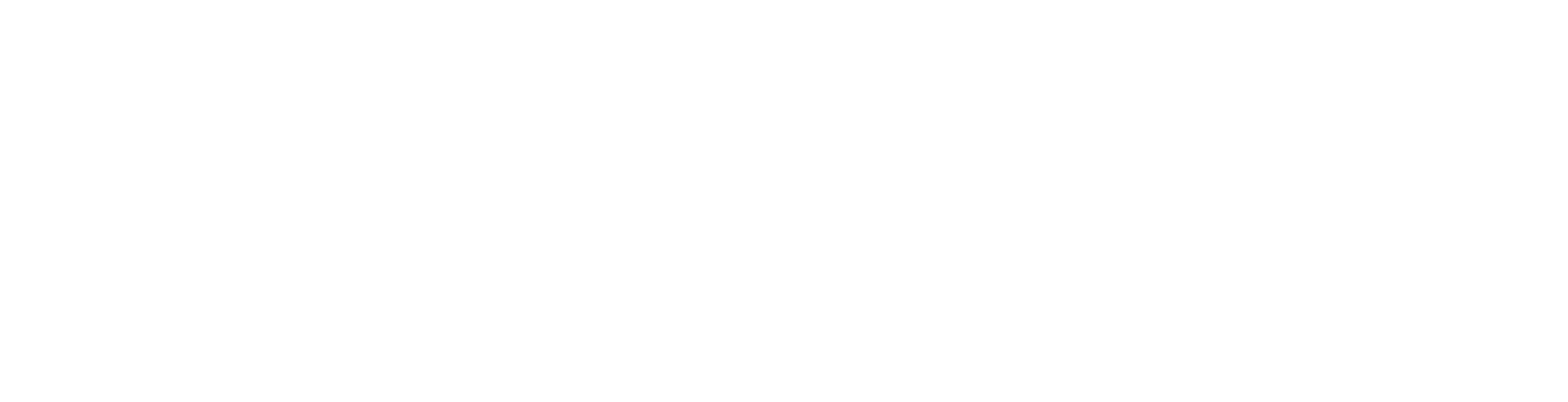 홀이금하: 그해 여름