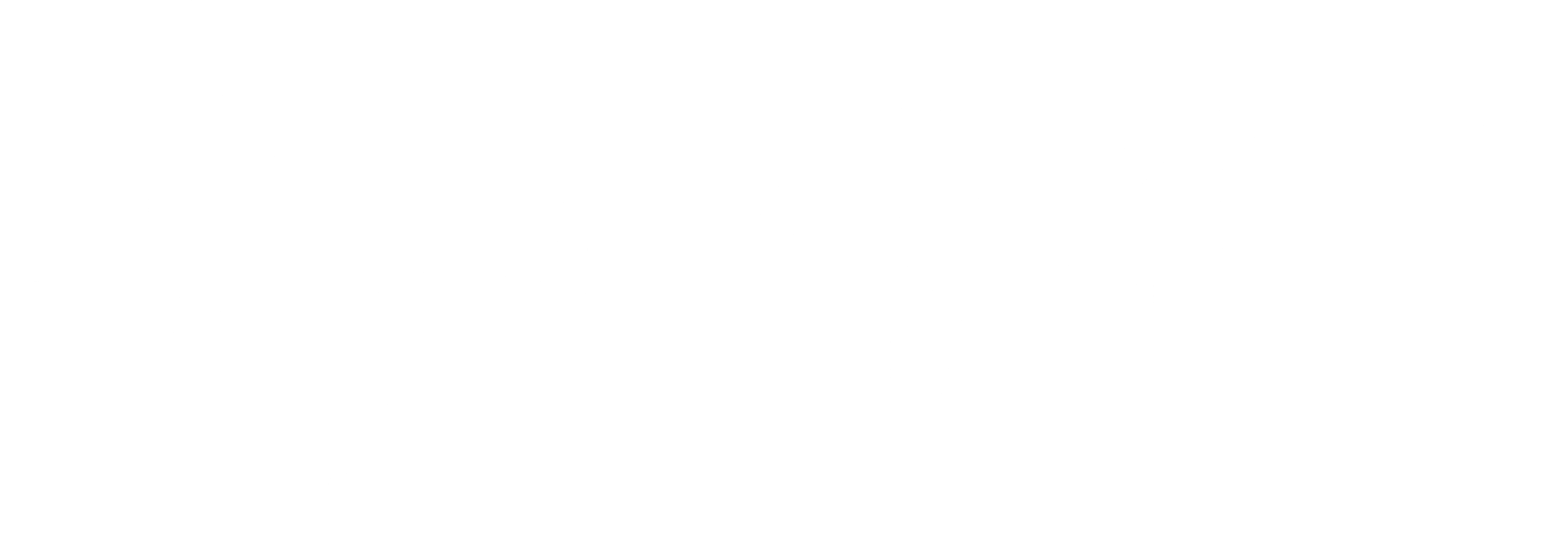 공주의 남자