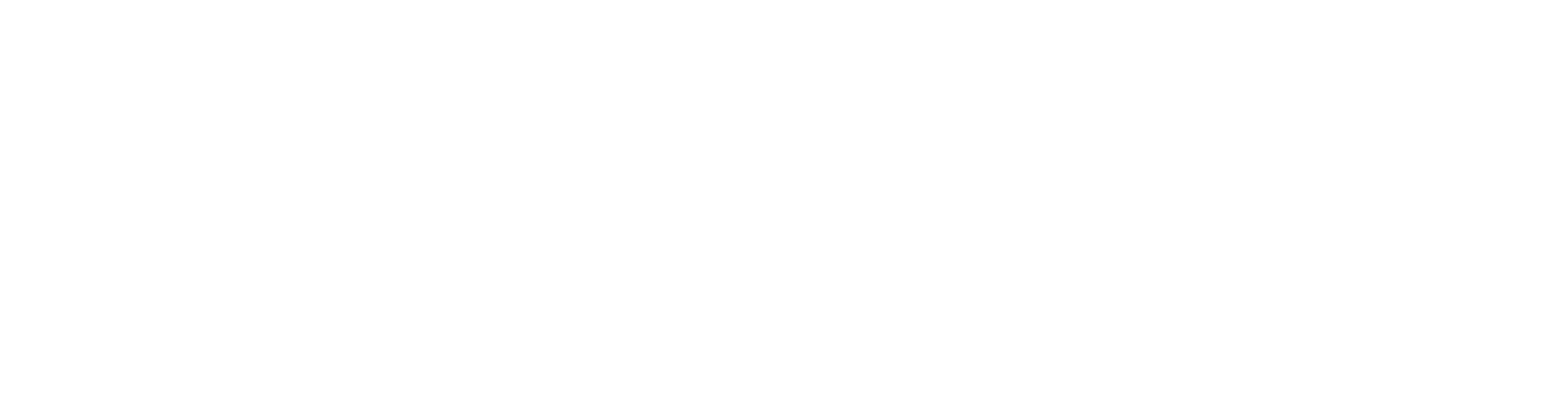 프릿 빌트