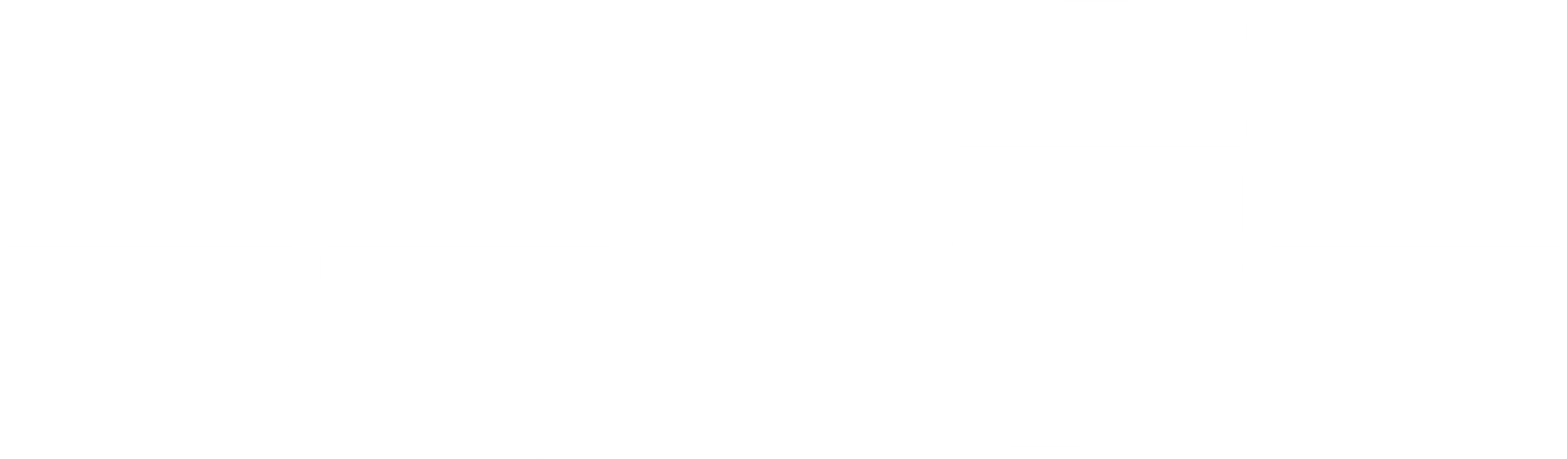 스트롱홀드: 최후의 전사
