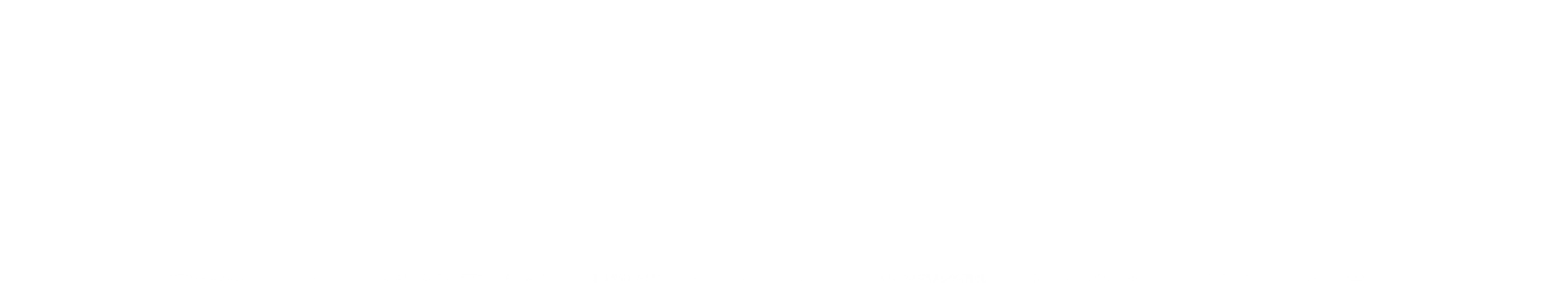 라스트 프론티어