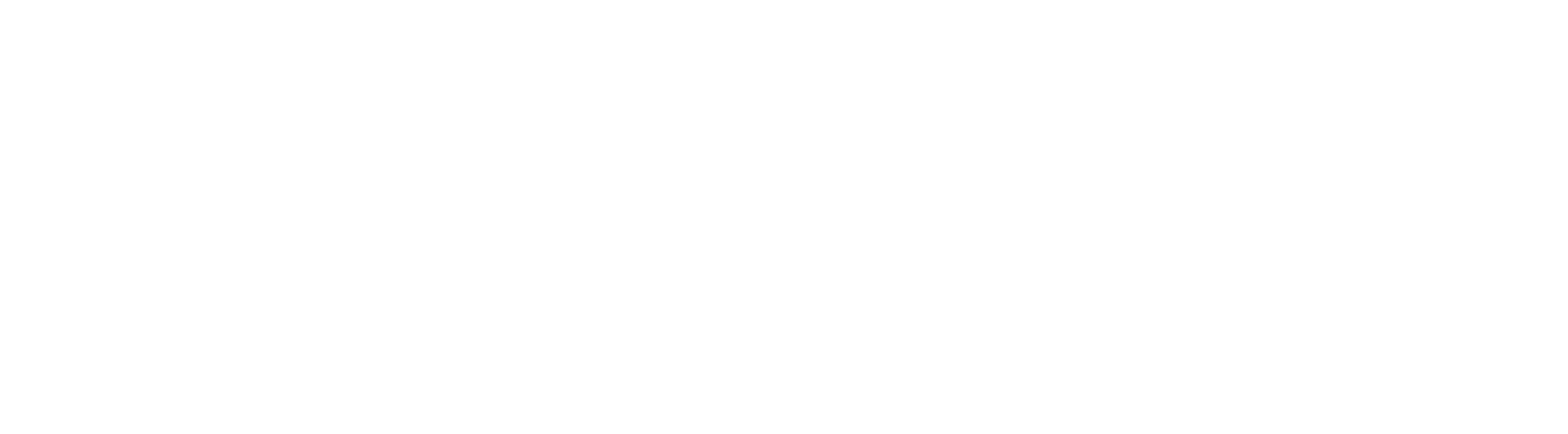 히가시노 게이고 방황하는 칼날