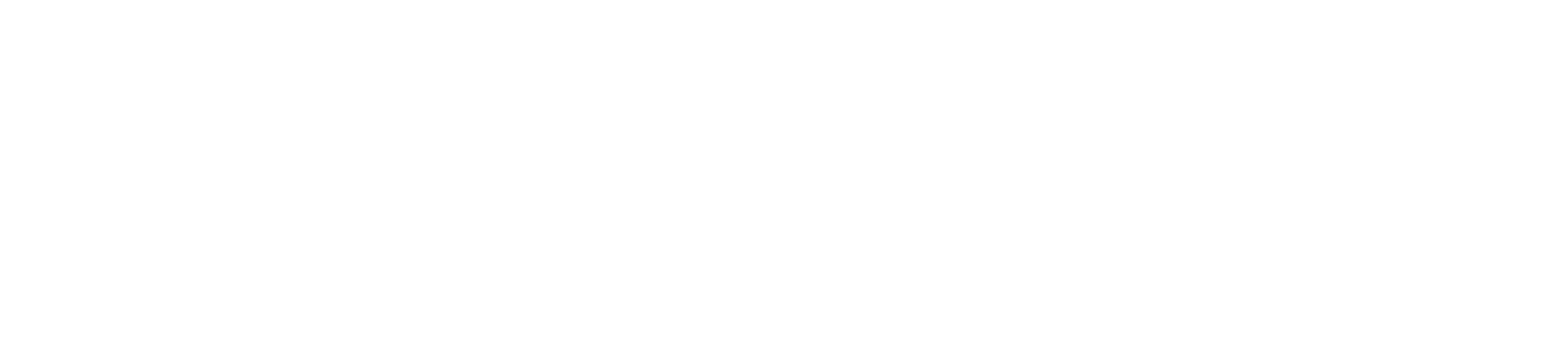 스킨 게임