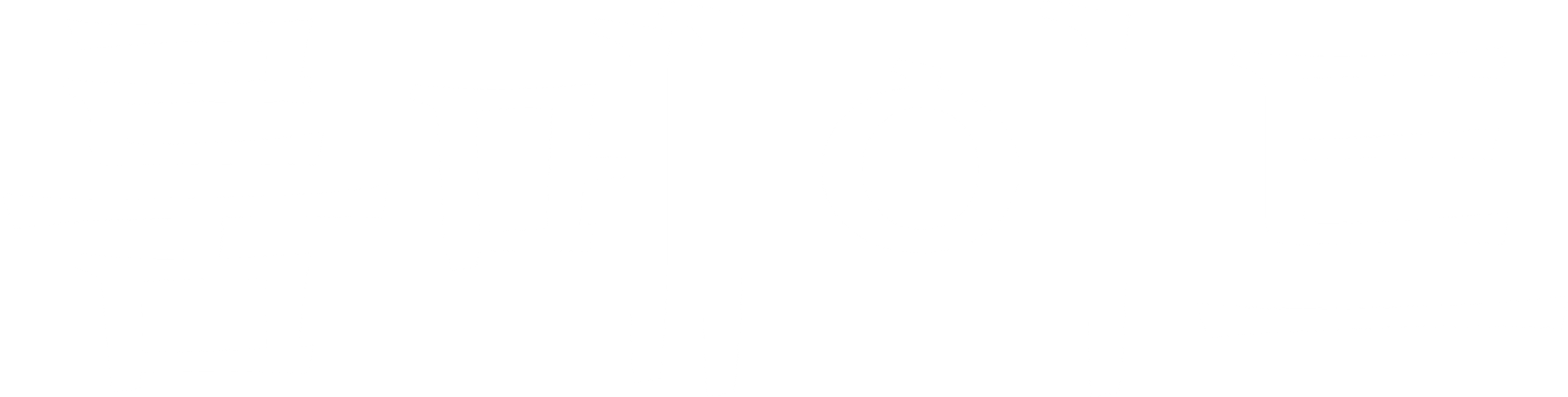 룸메이트