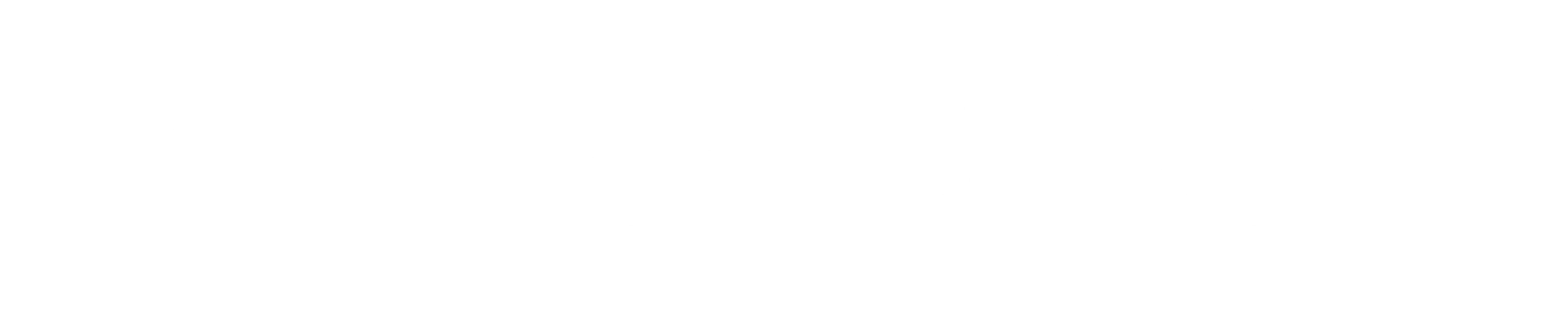 애니 불릿 윌 두