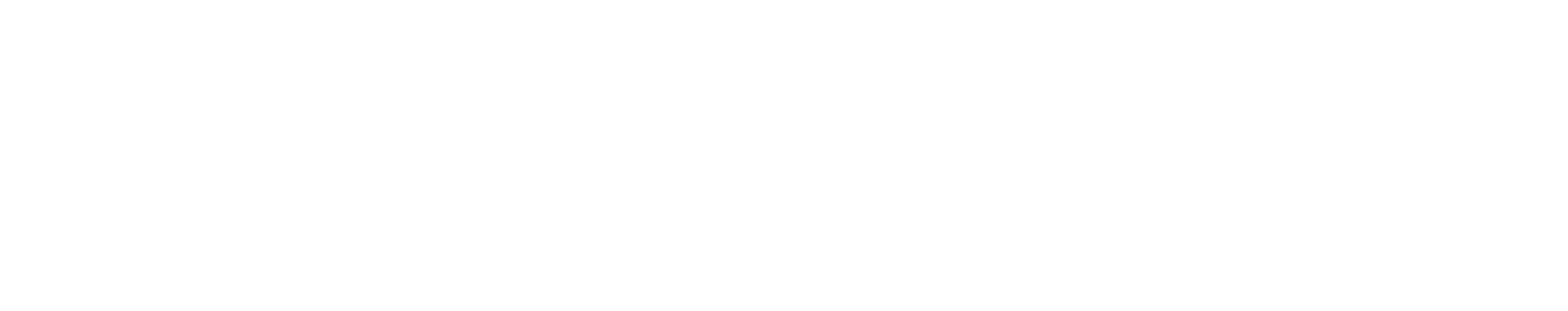 순수의 시대
