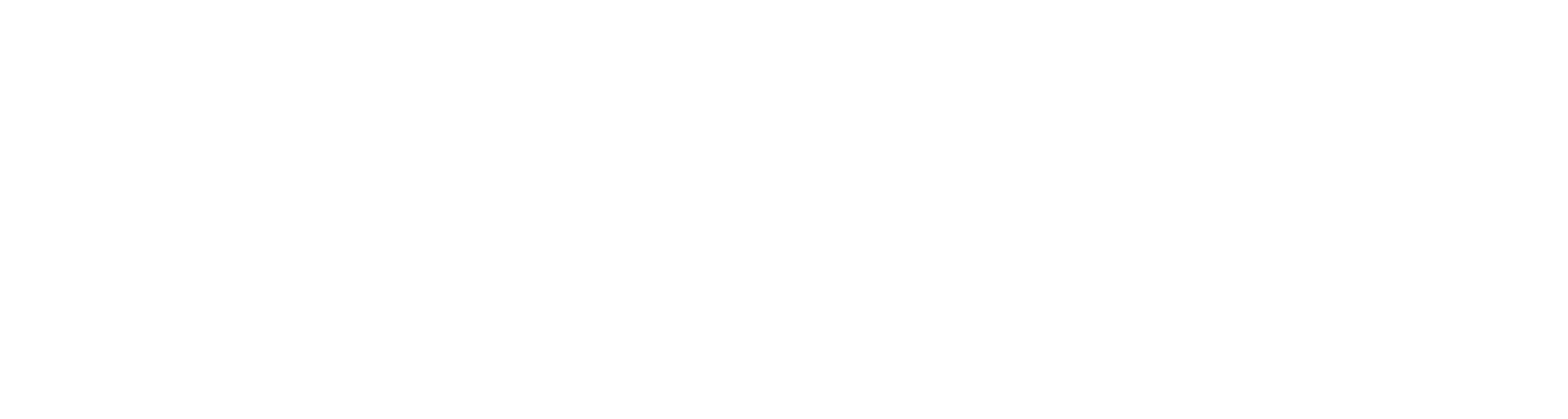 나이트 테러