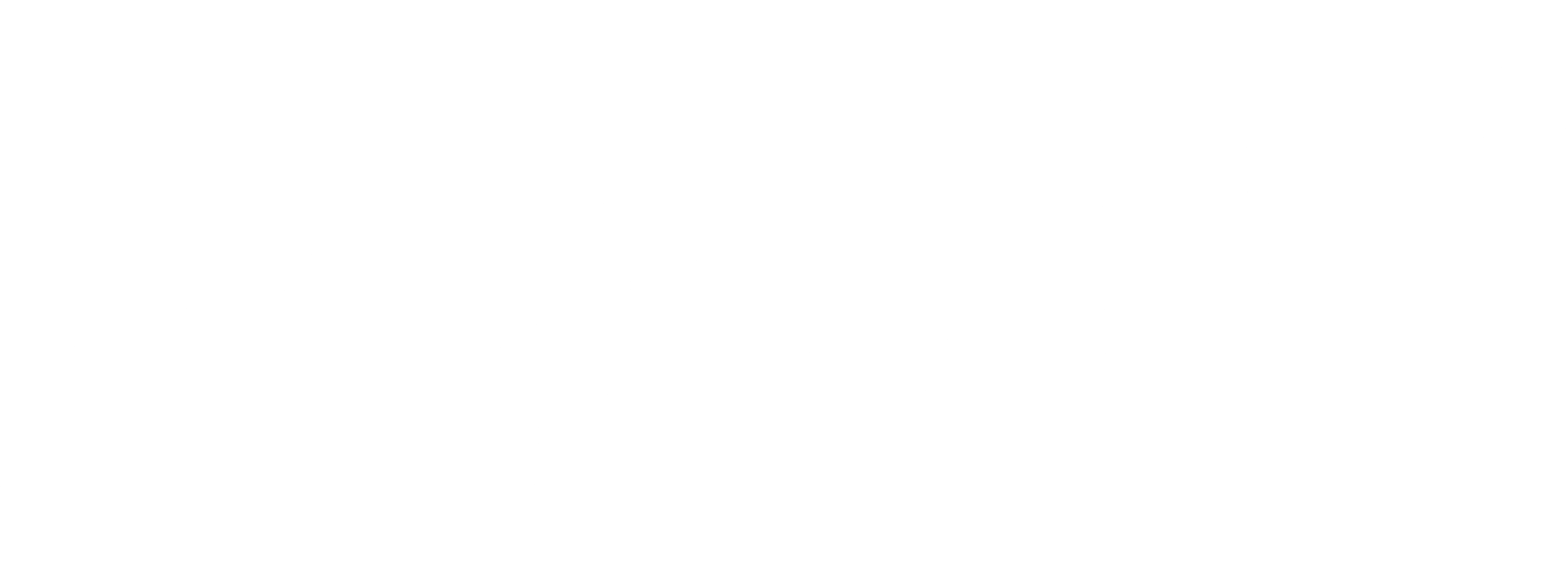무림여대생