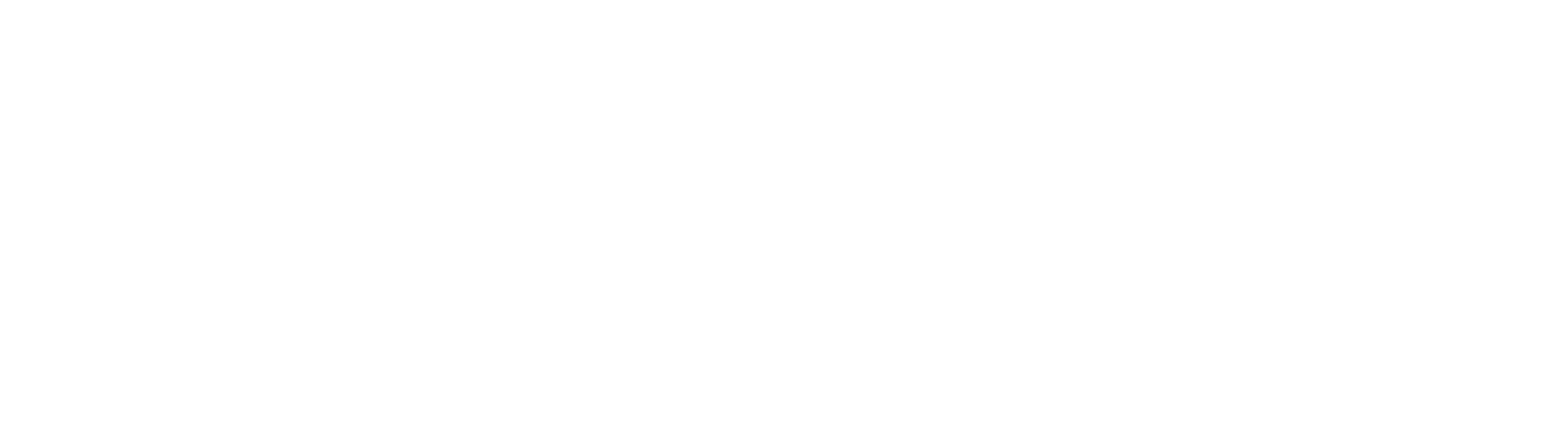 사채왕 페그