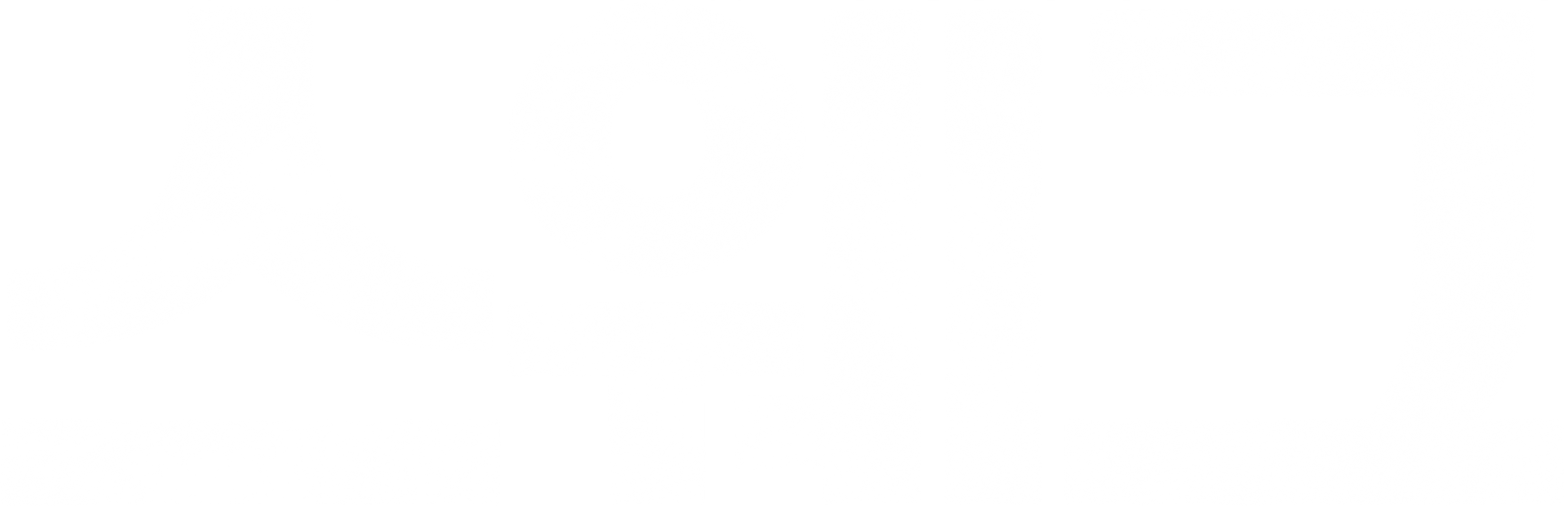 스웨그