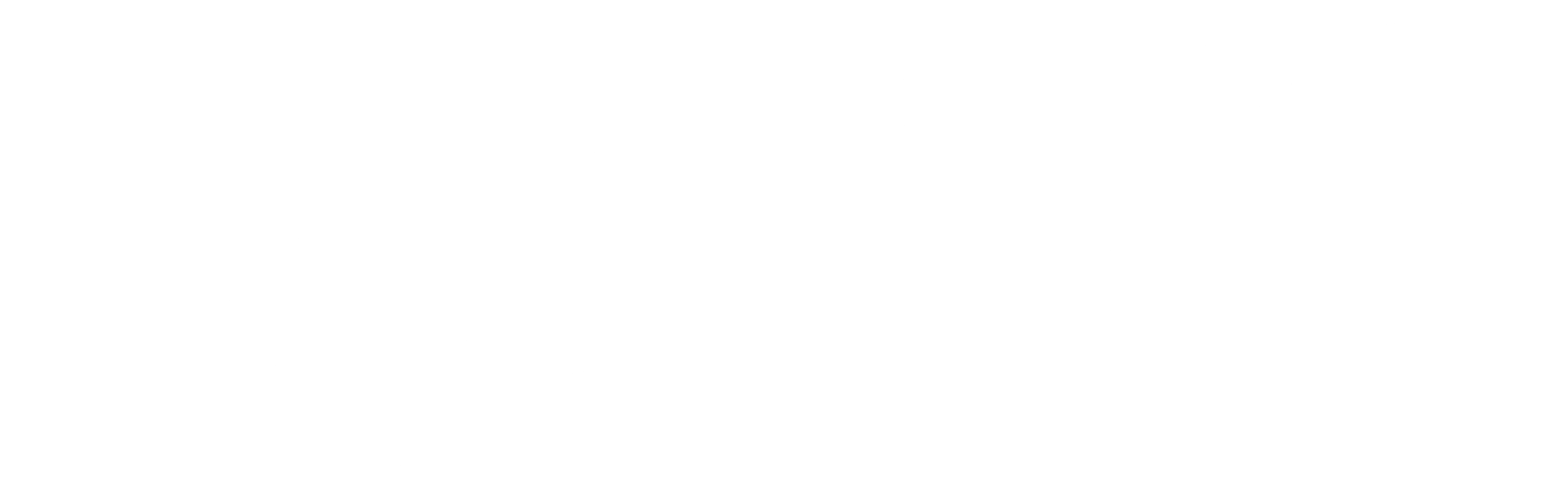 네스트