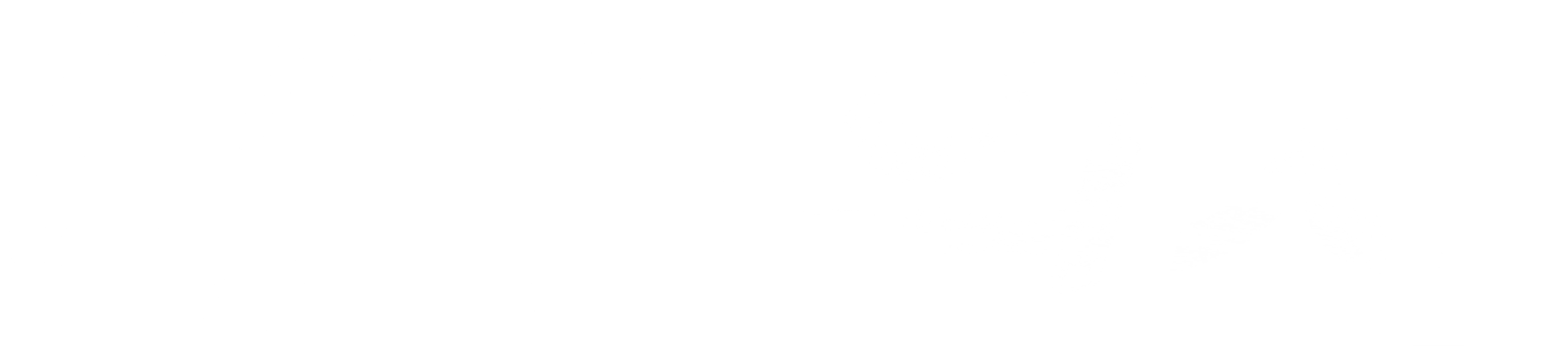 데스 위시