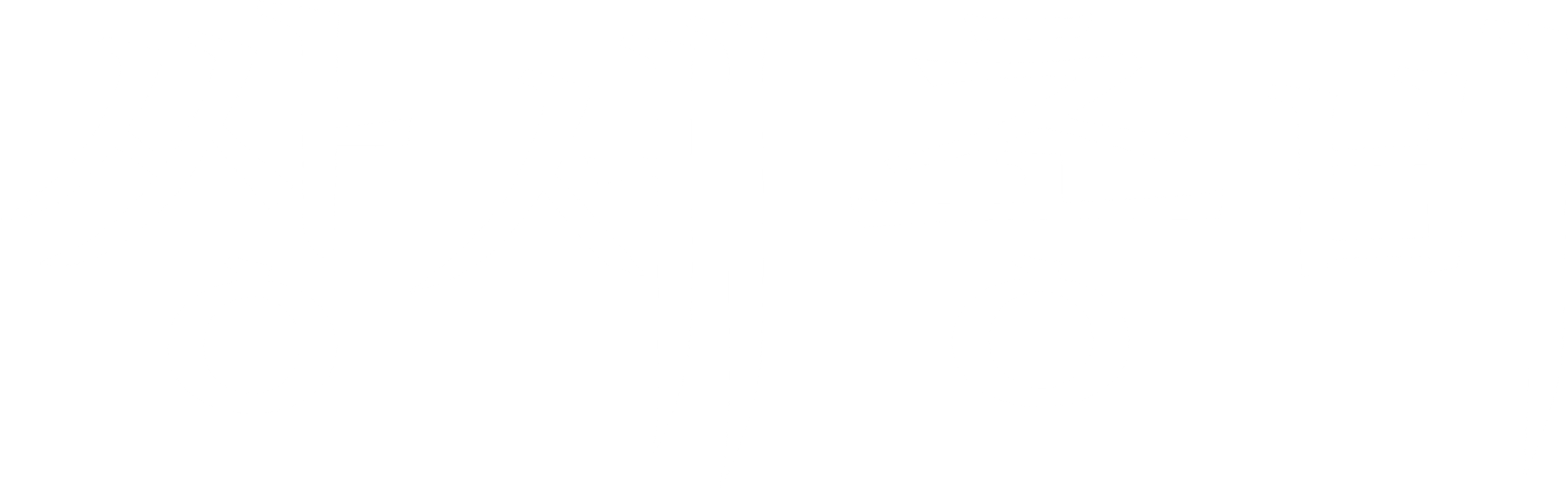 쌍세총비 시즌 2