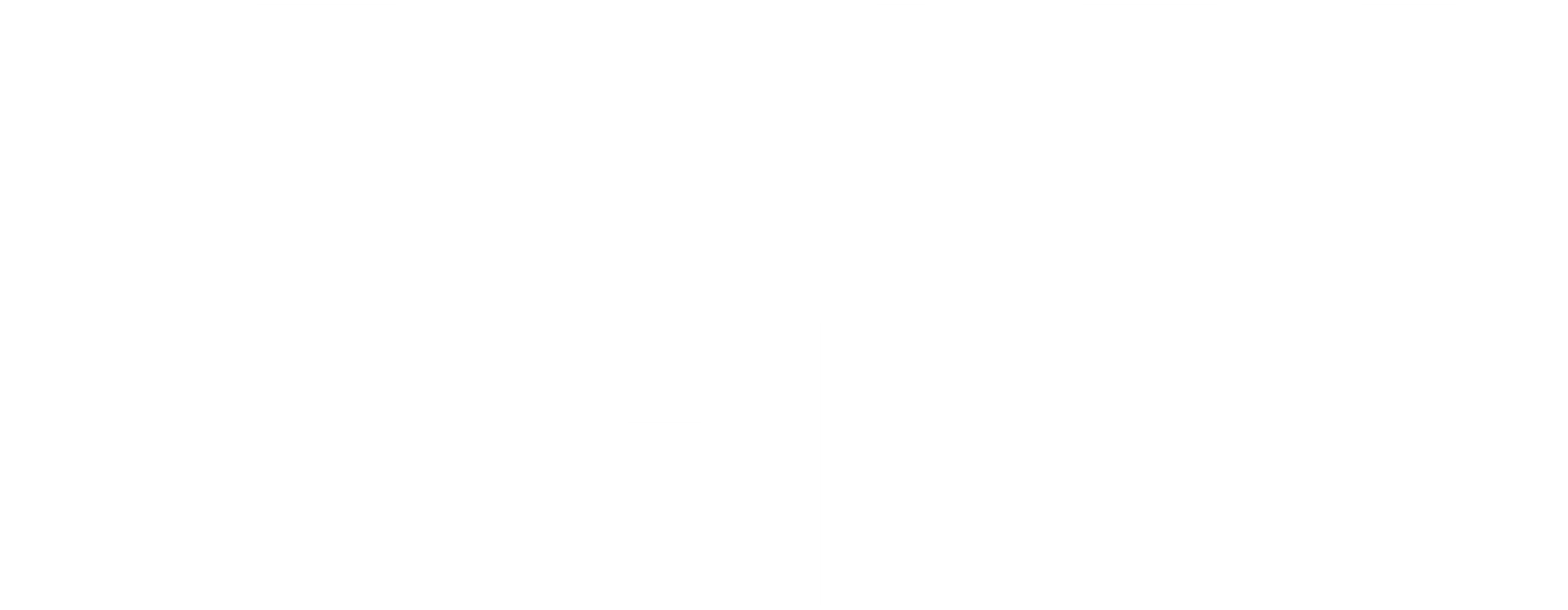 스티븐 시걸의 CIA
