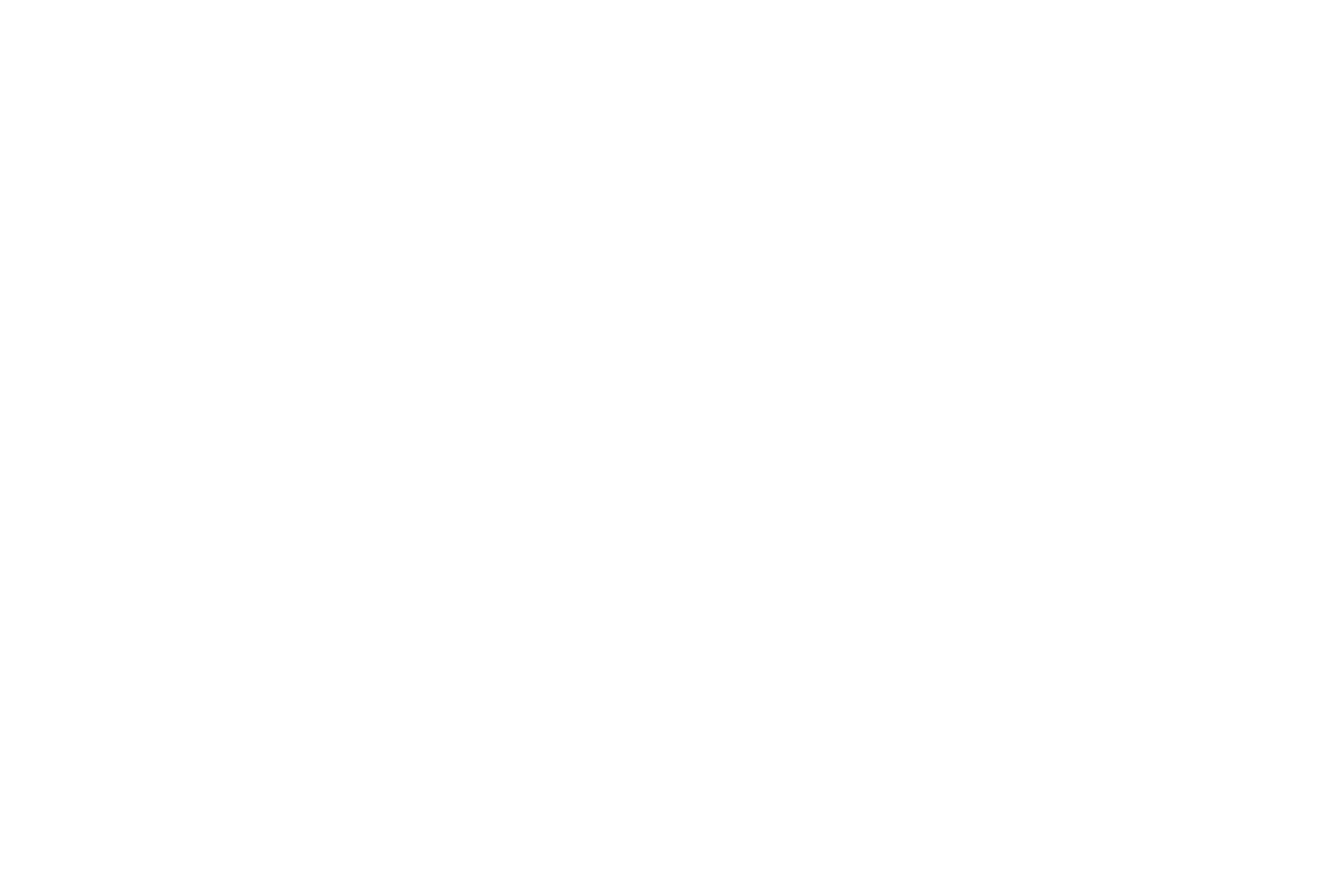 리벤지 라이드