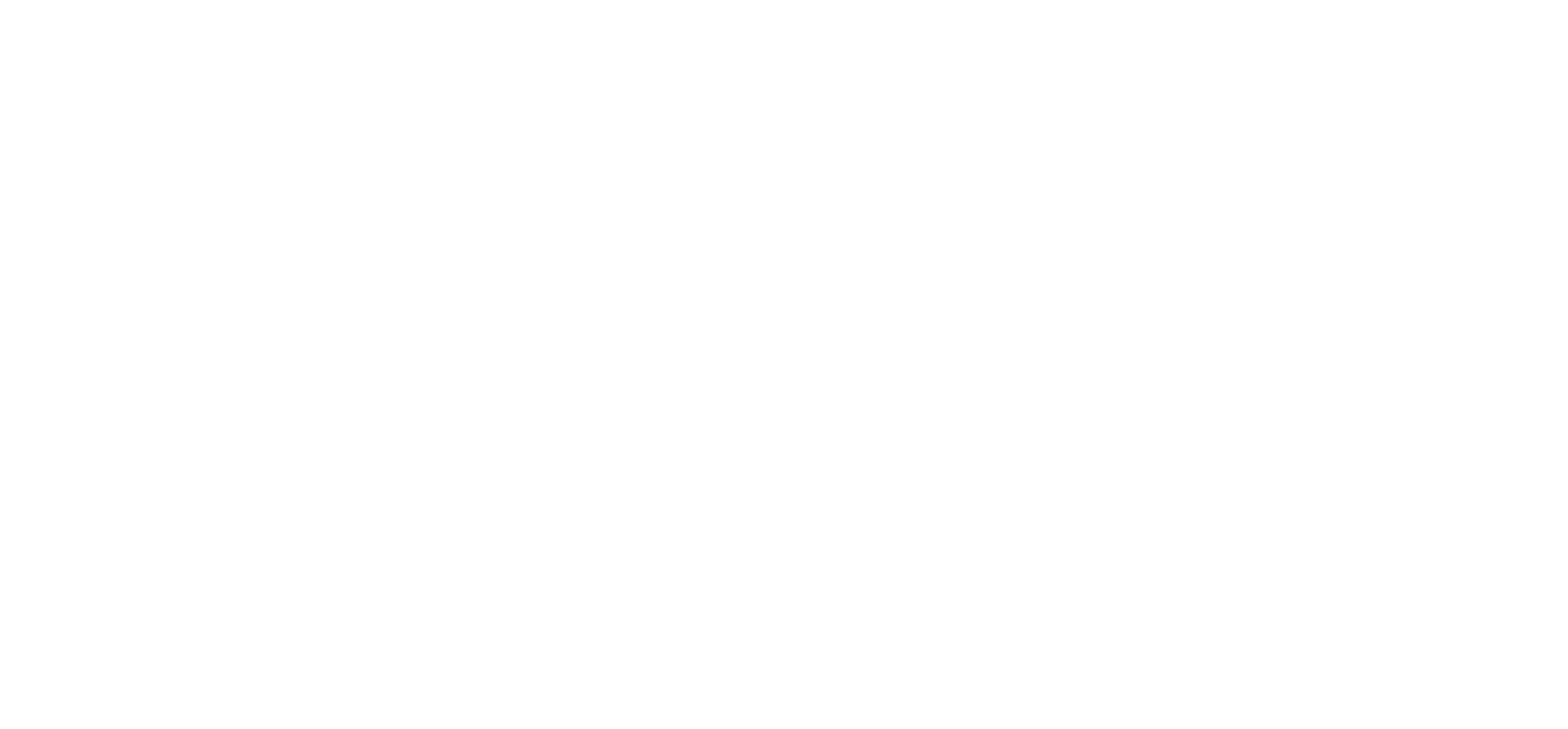 거짓말