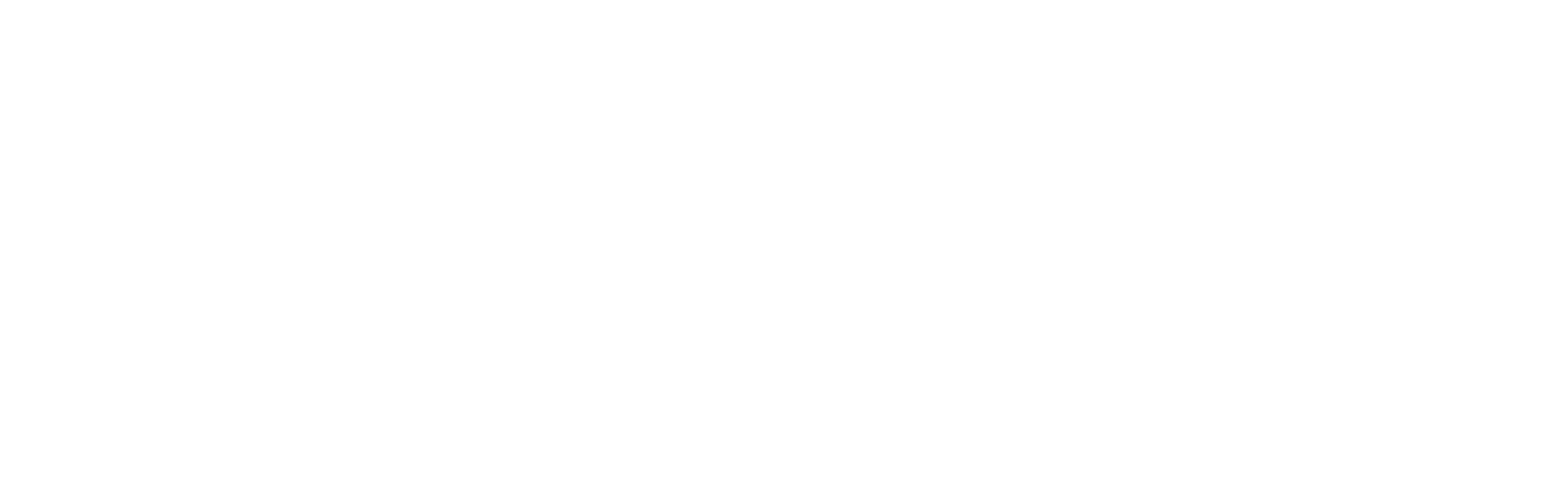 인베이젼 2020