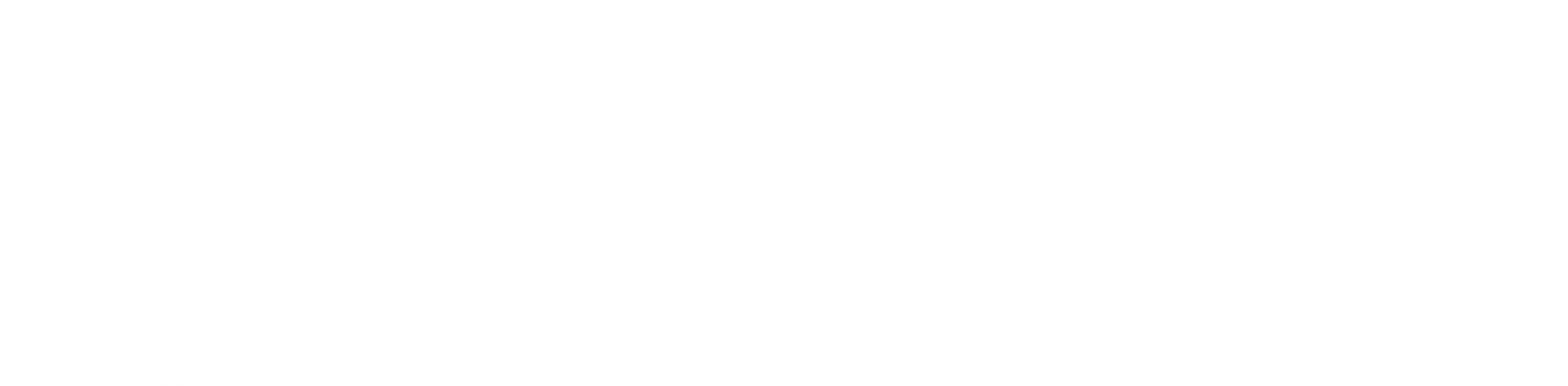 플란다스의 개
