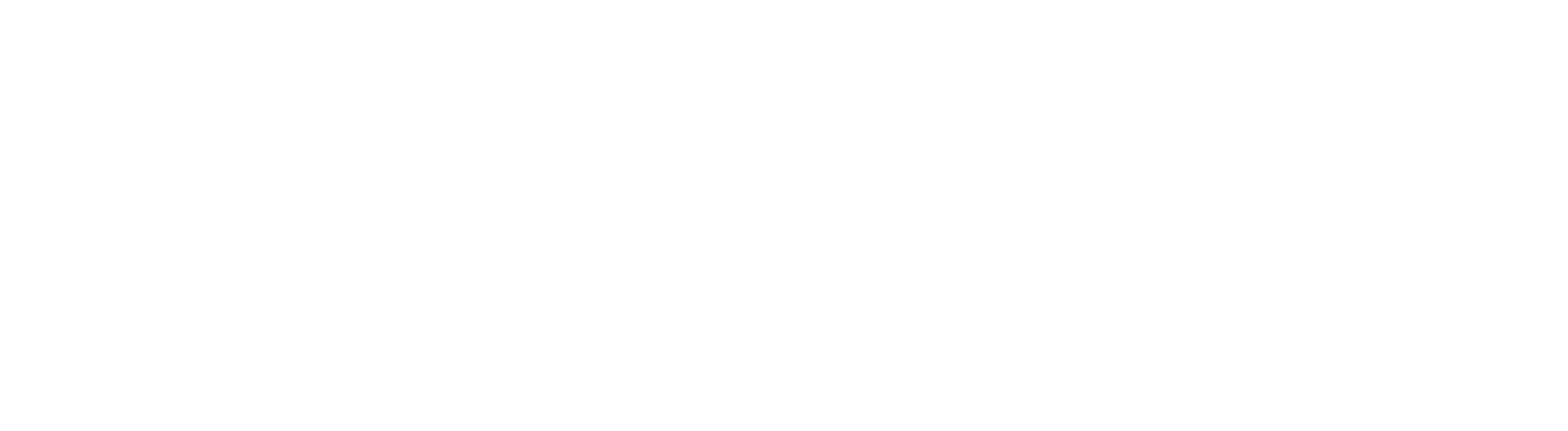 히든싱어 1