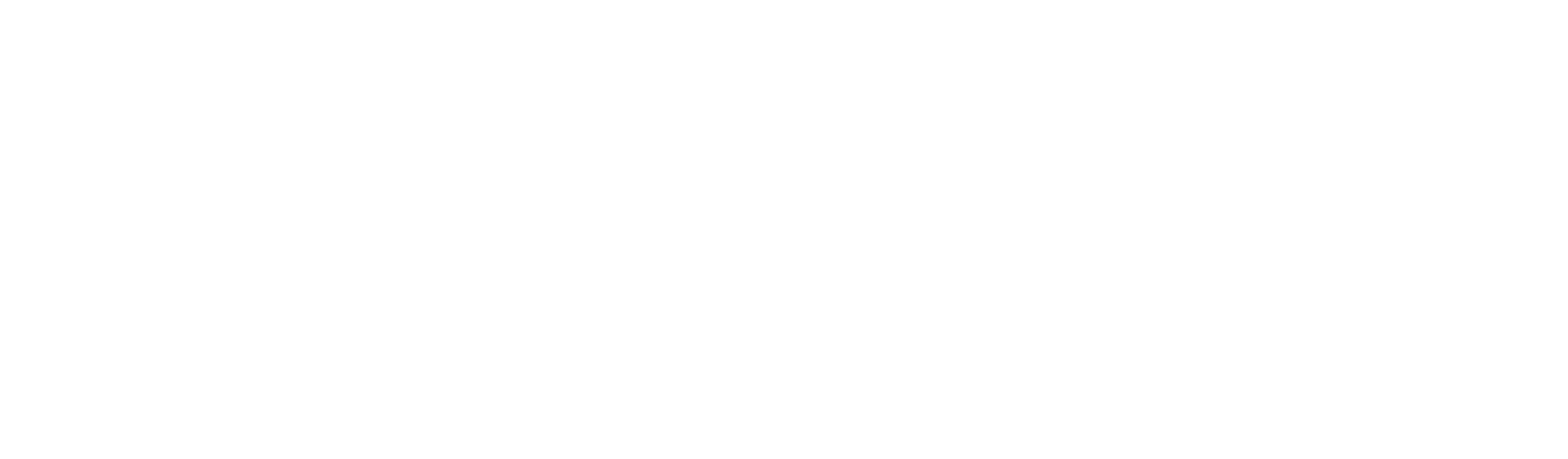 너스 3D