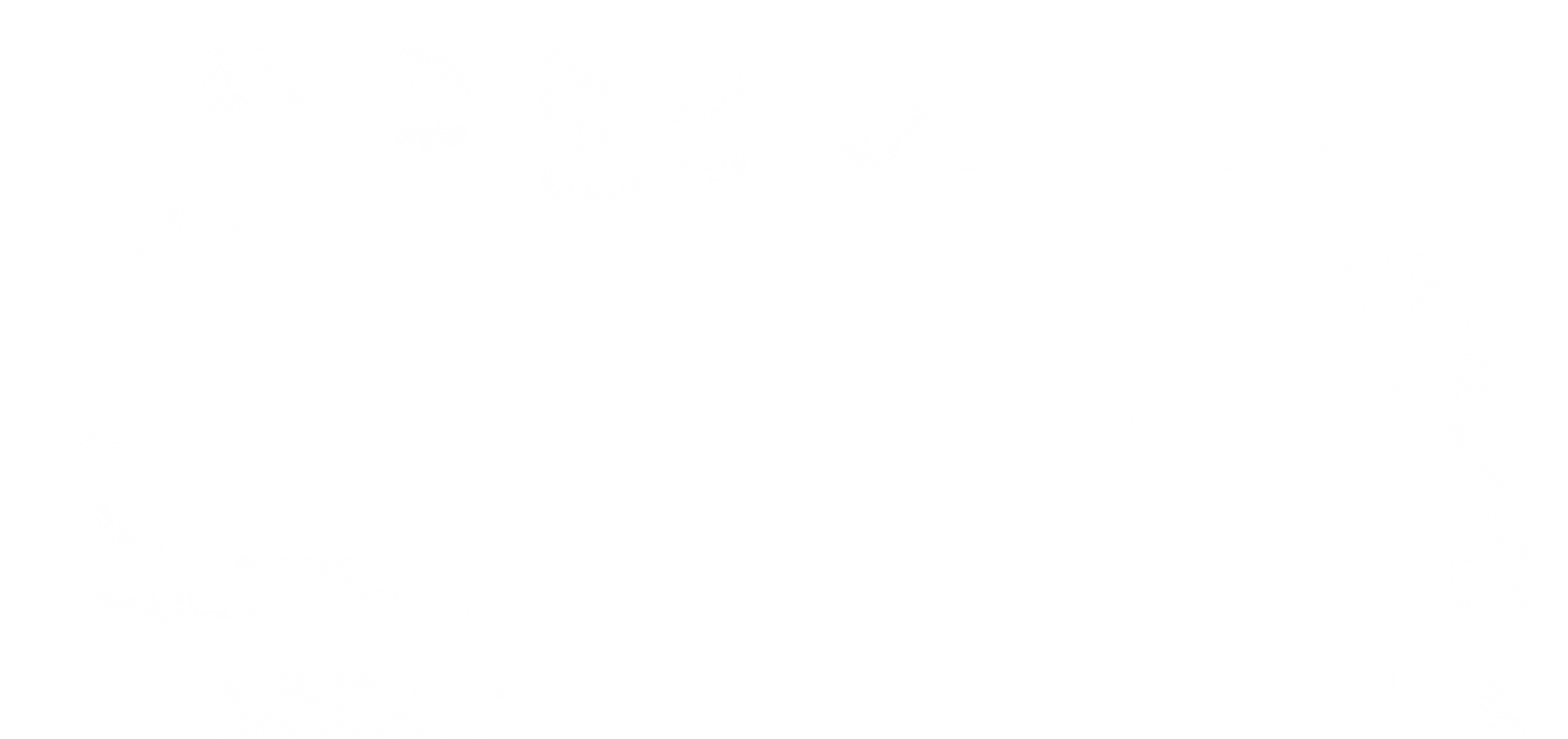 캡쳐