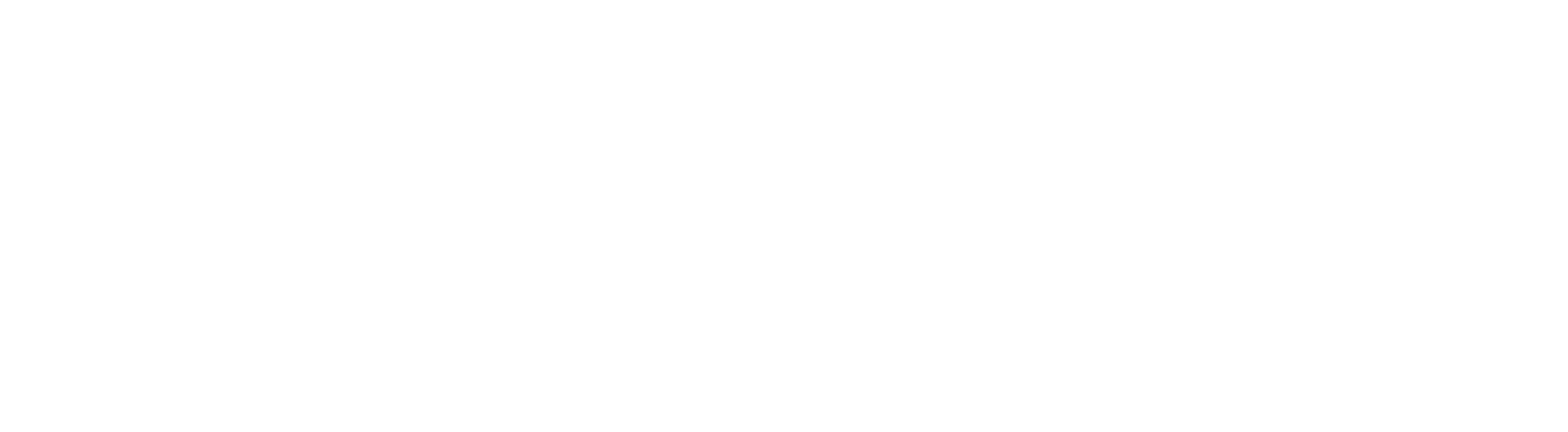 쿵푸 워리어