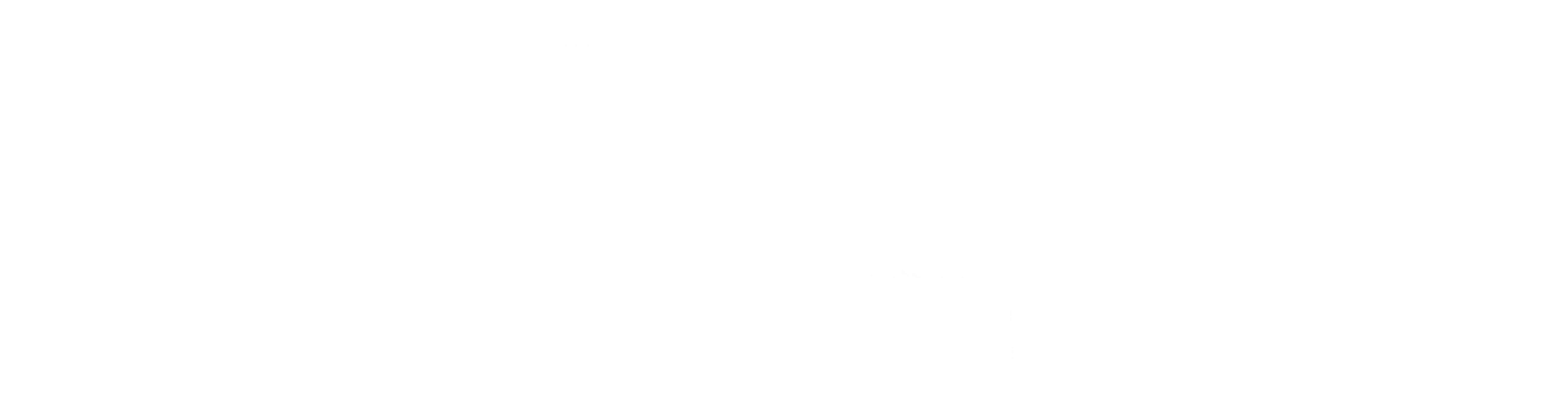 닌자터틀: 어둠의 히어로