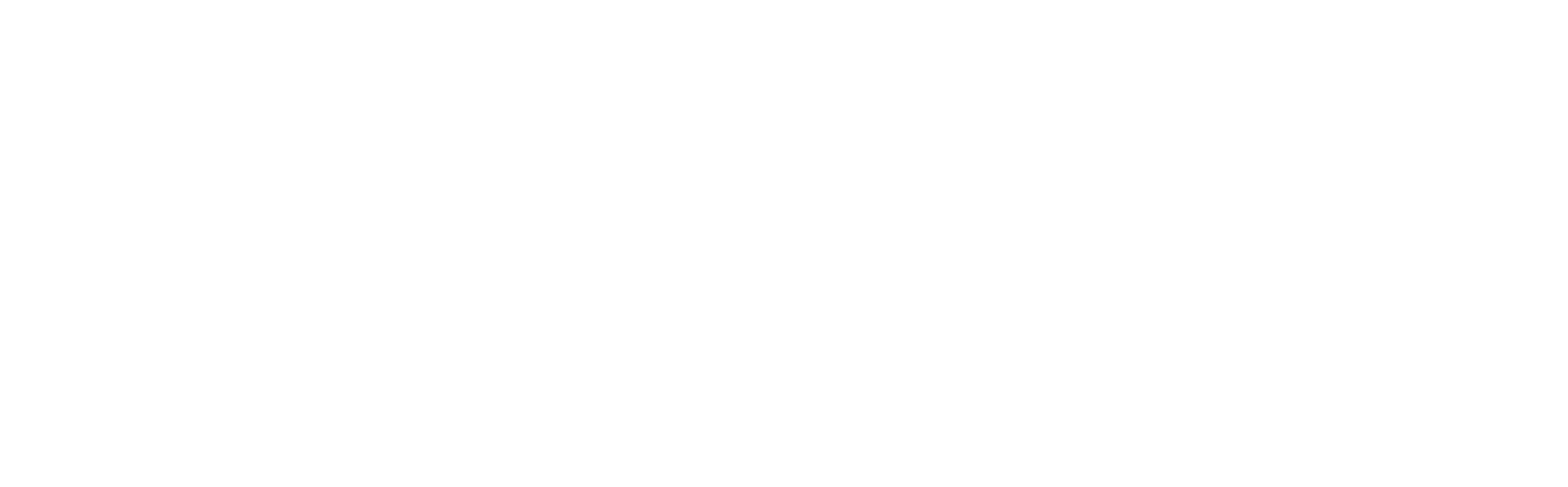 내쉬빌