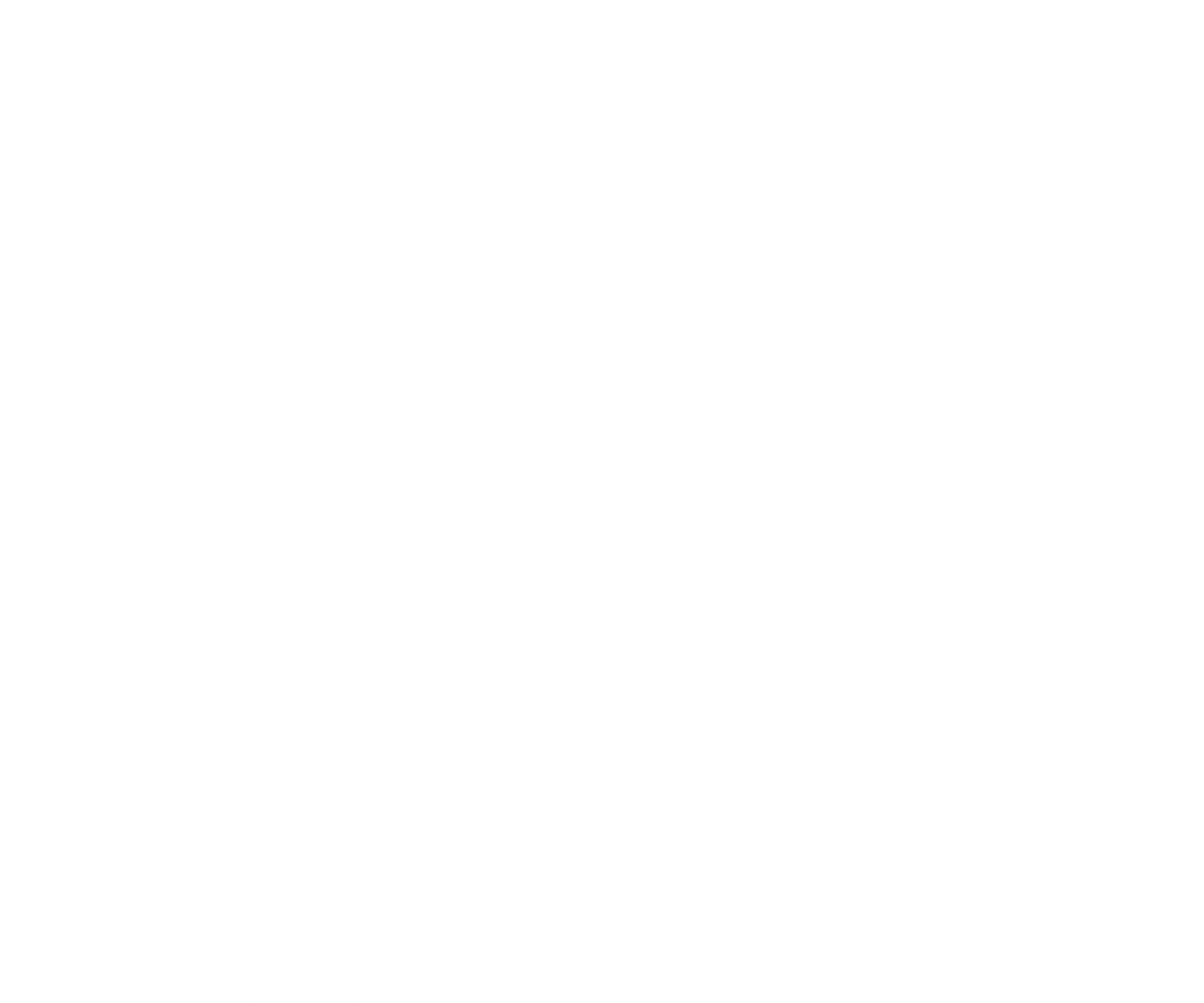 스튜핏 영 하트