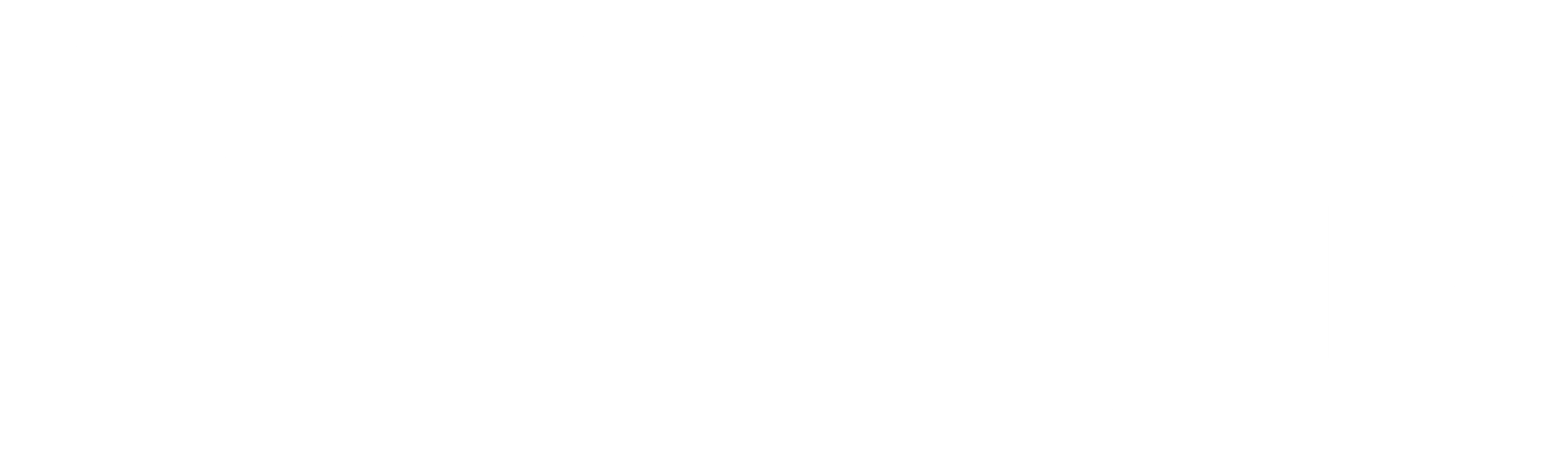 아네고 (누님)