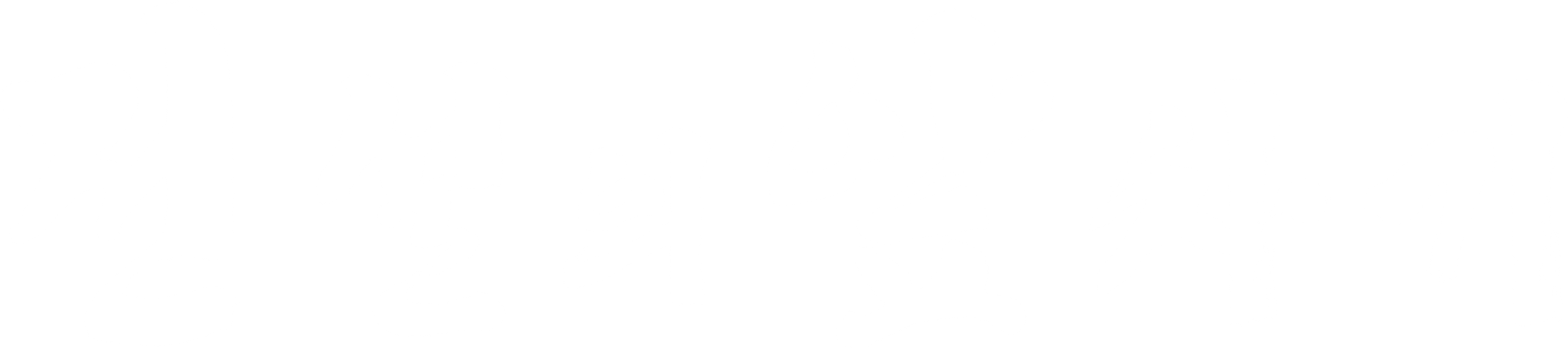 전설의 앞차기