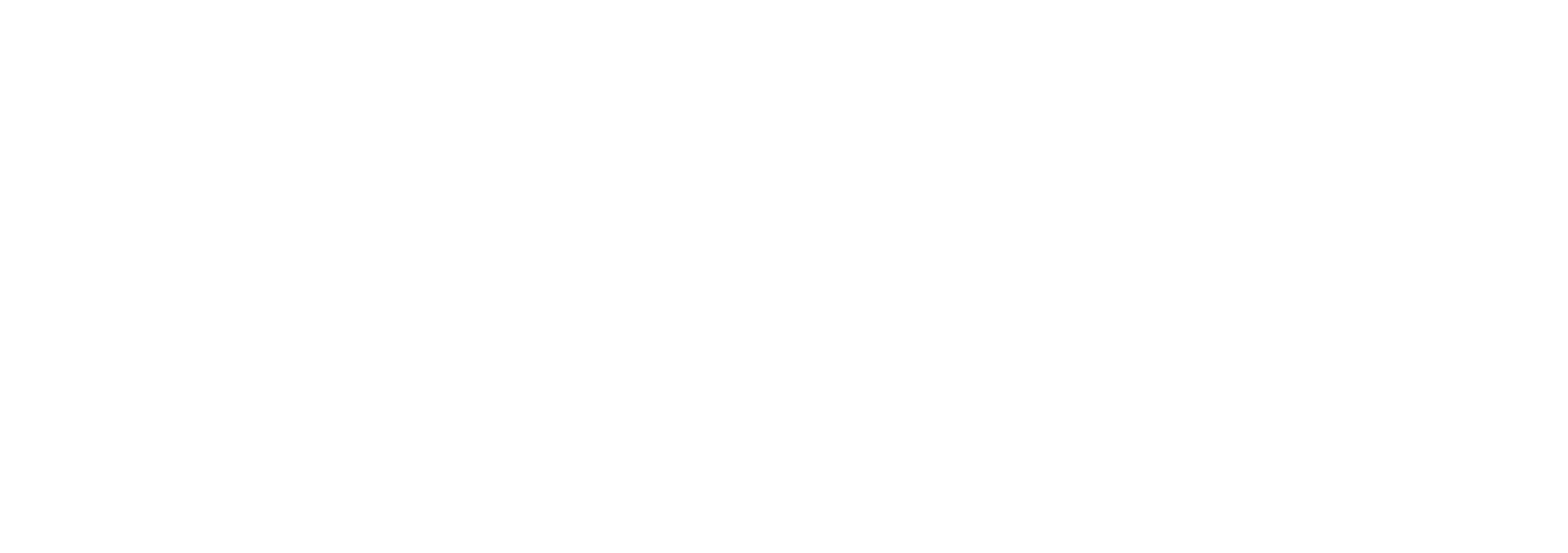 우아한 가