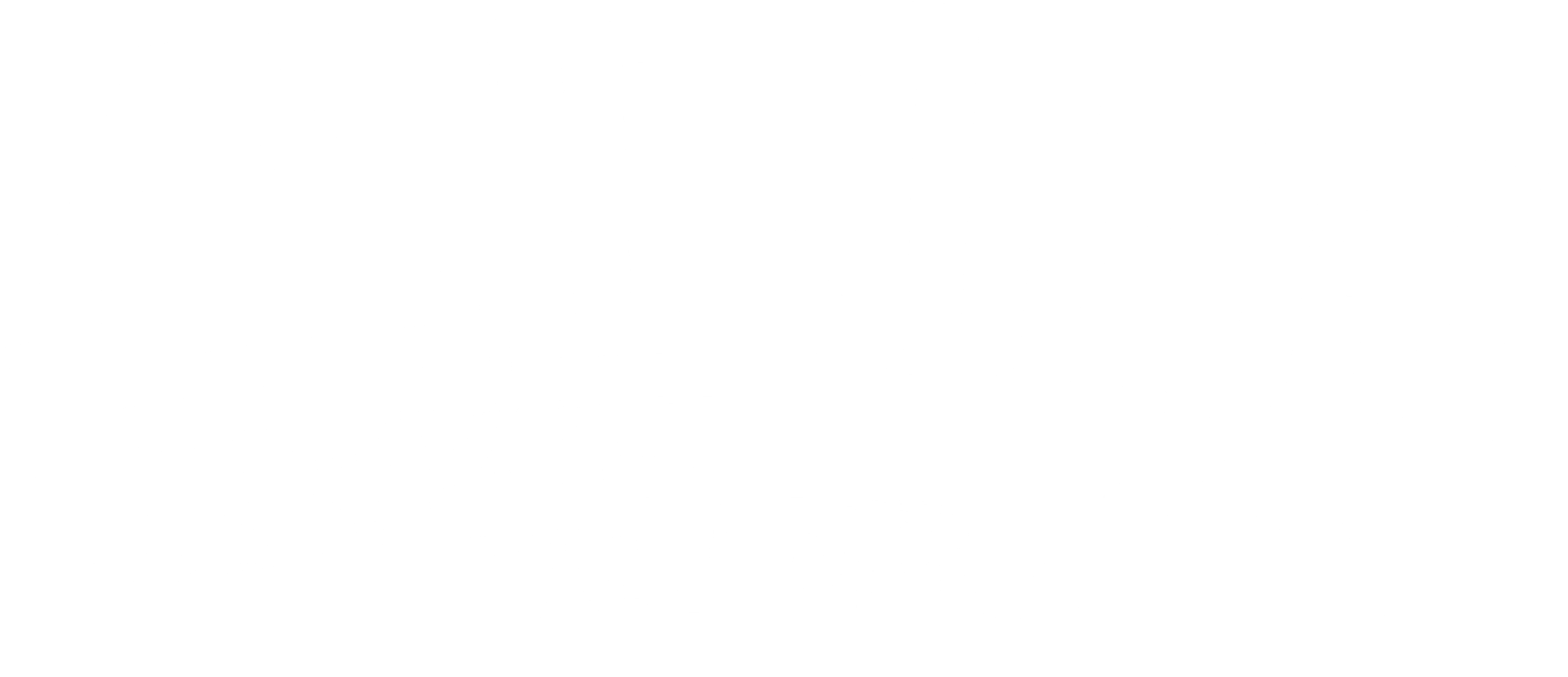 스피벳:천재 발명가의 기묘한 여행