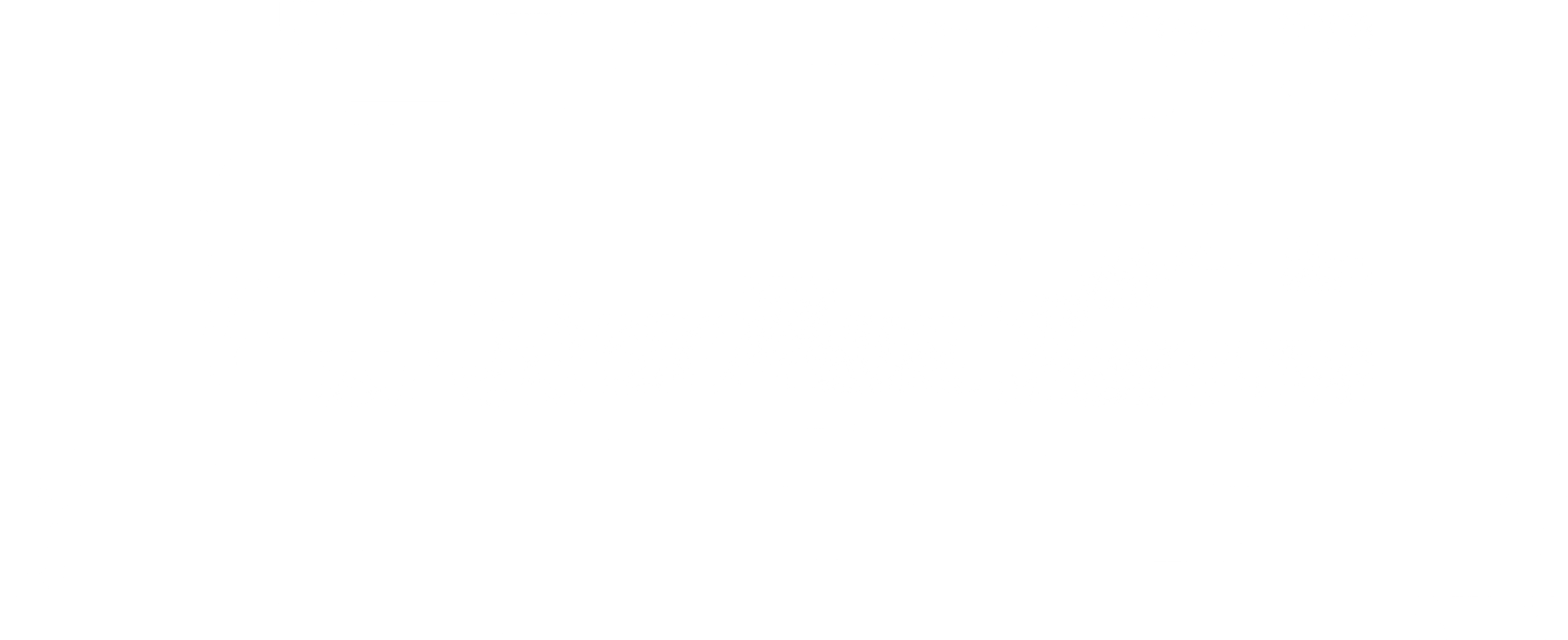 첩보원: 독일군 잠입작전