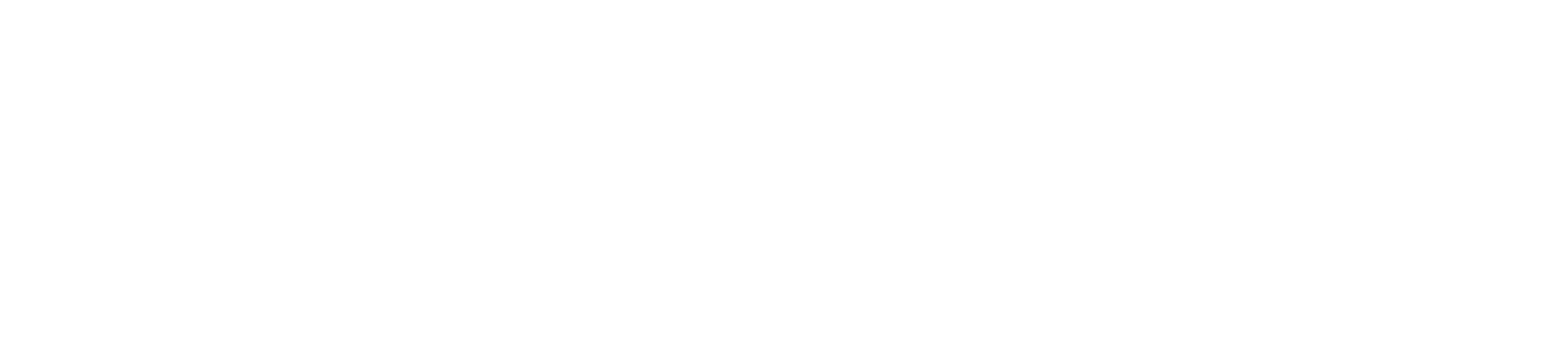 레스큐 던