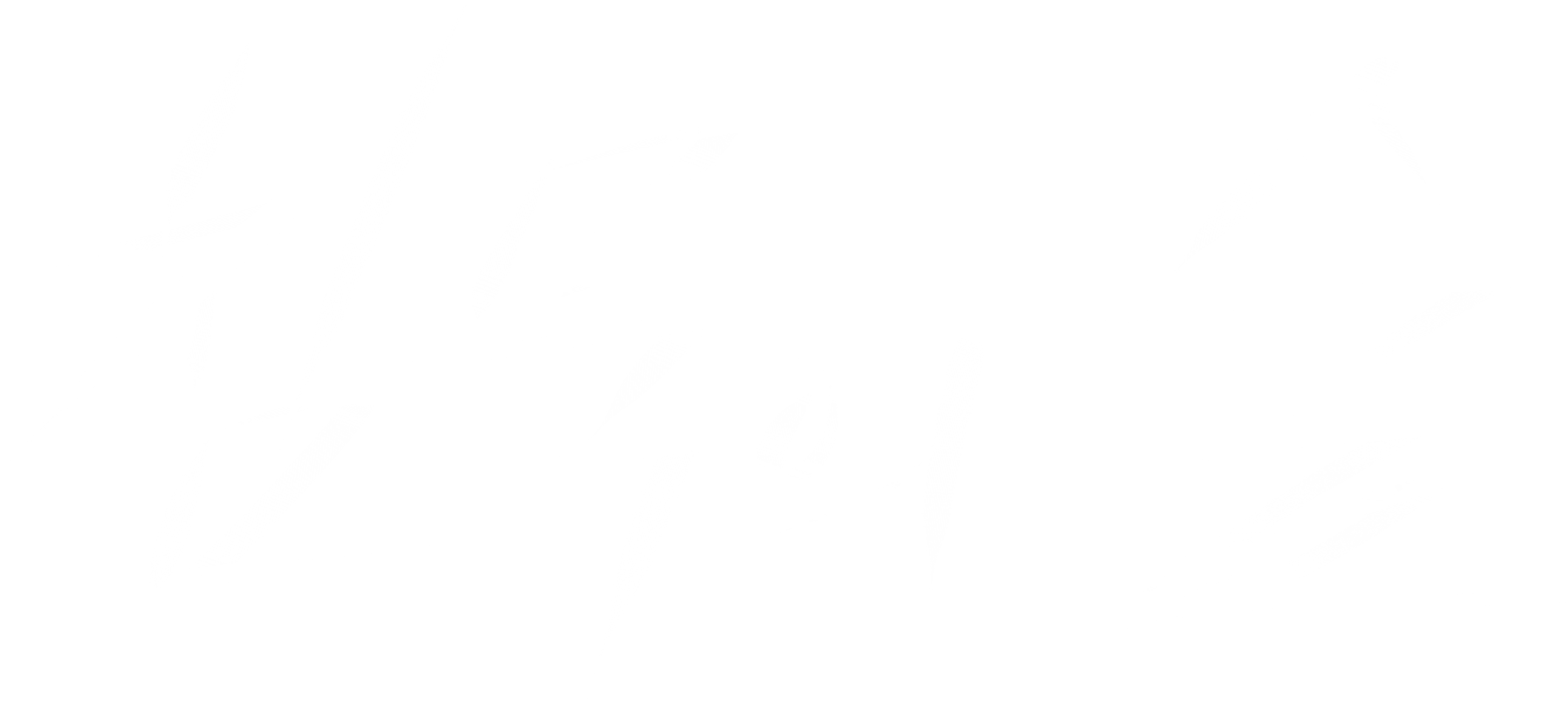 침묵의 숲