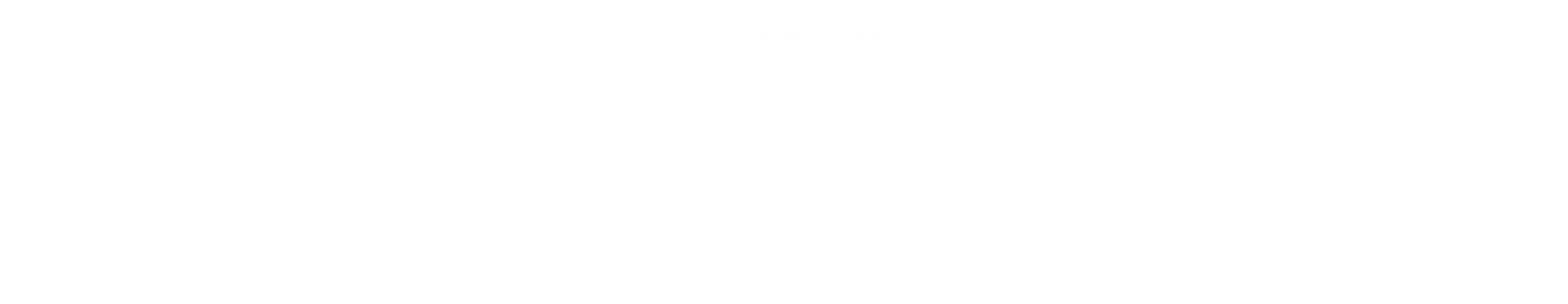 패스트 퓨리어스 & 언리미티드