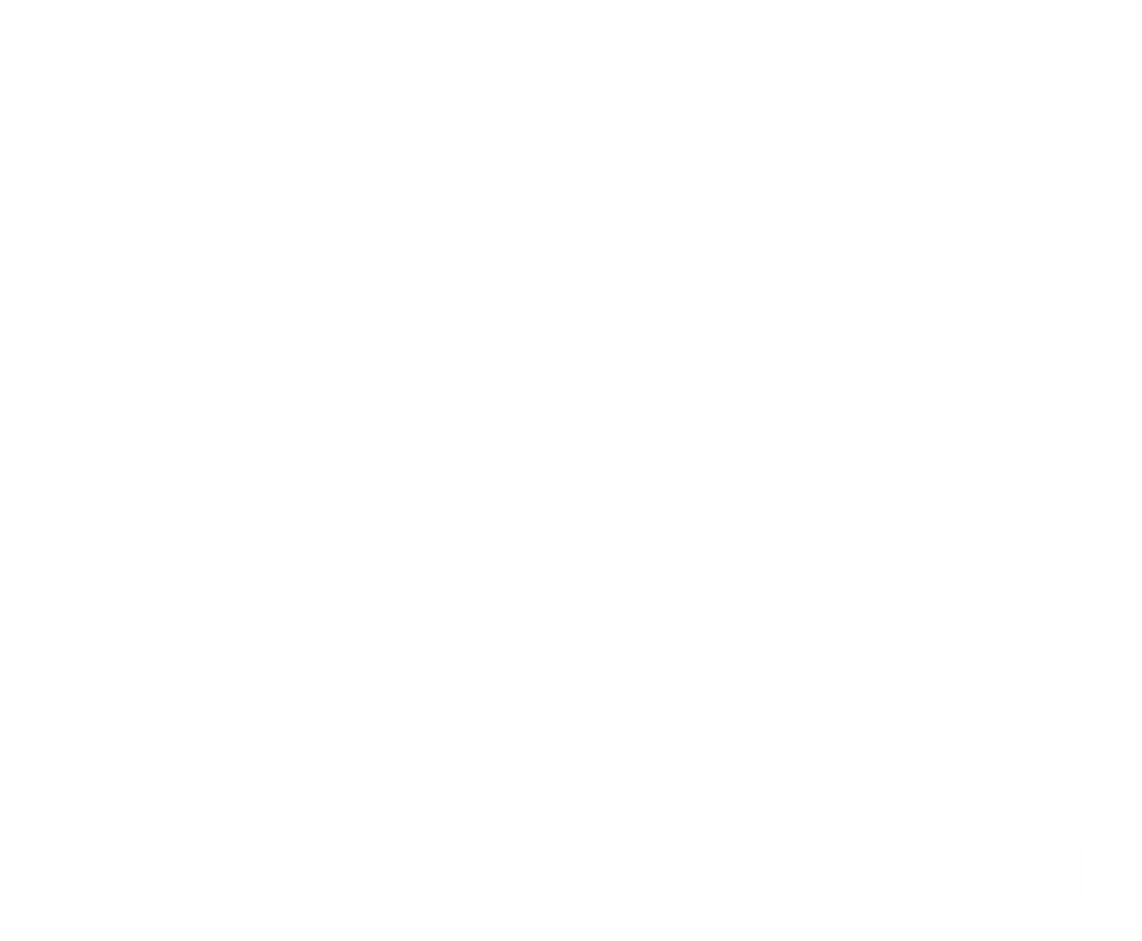 화양: 당대최고수전