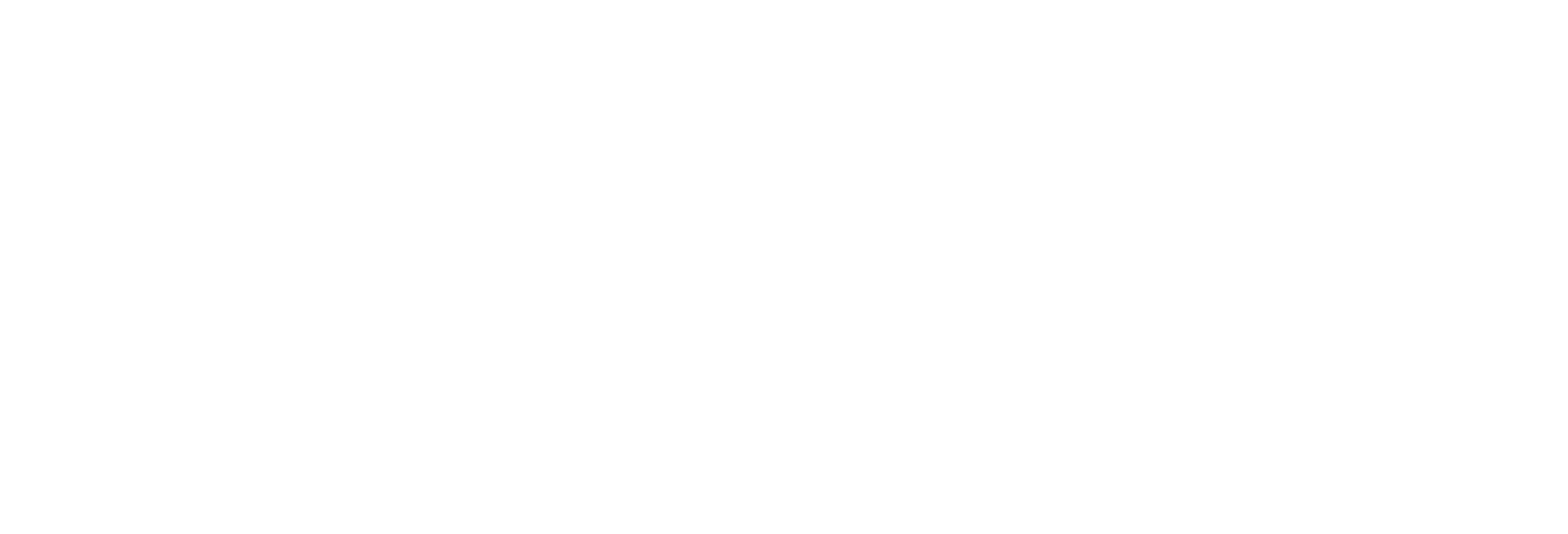 눈의 꽃