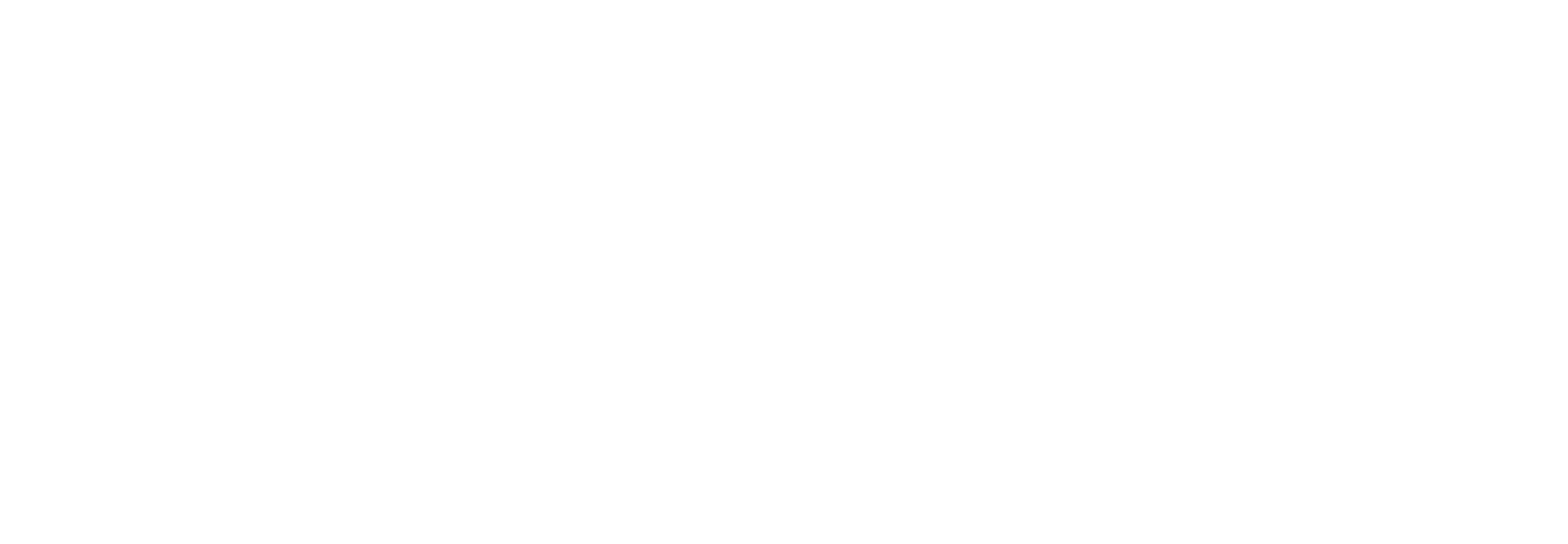 하비의 마지막 로맨스