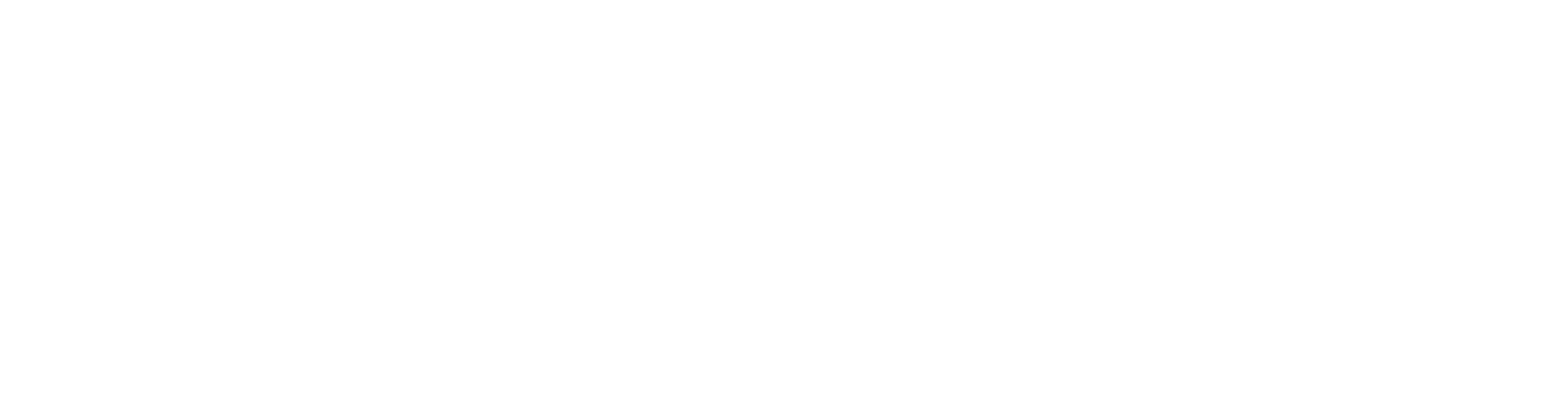 피끓는 청춘