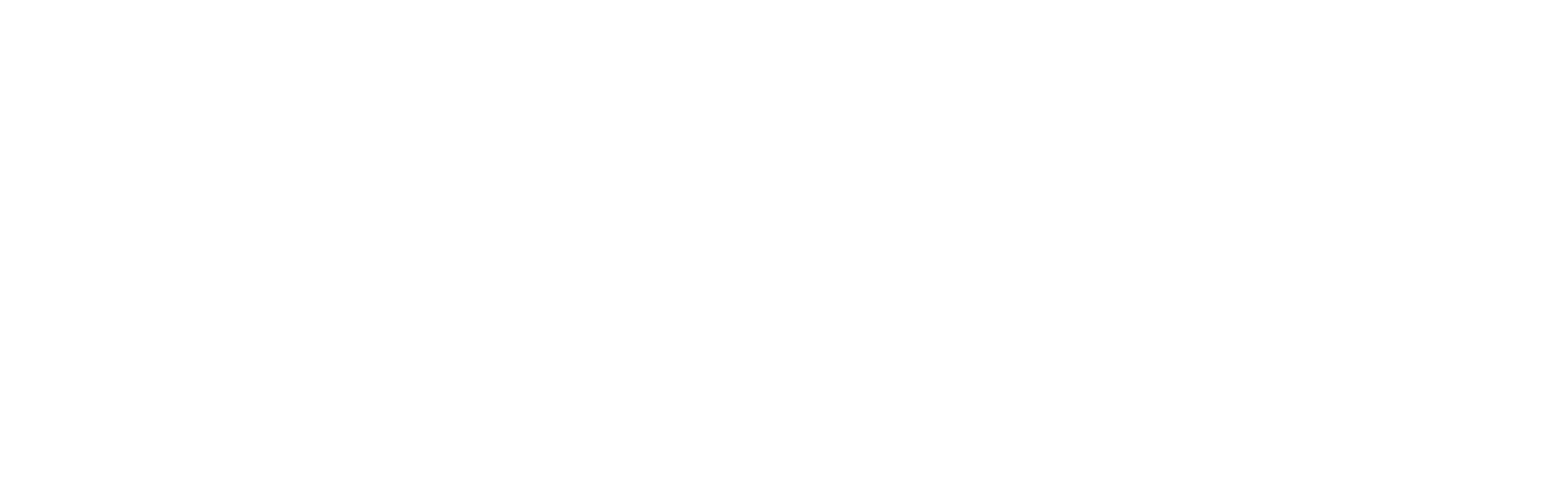 기막힌 사내들