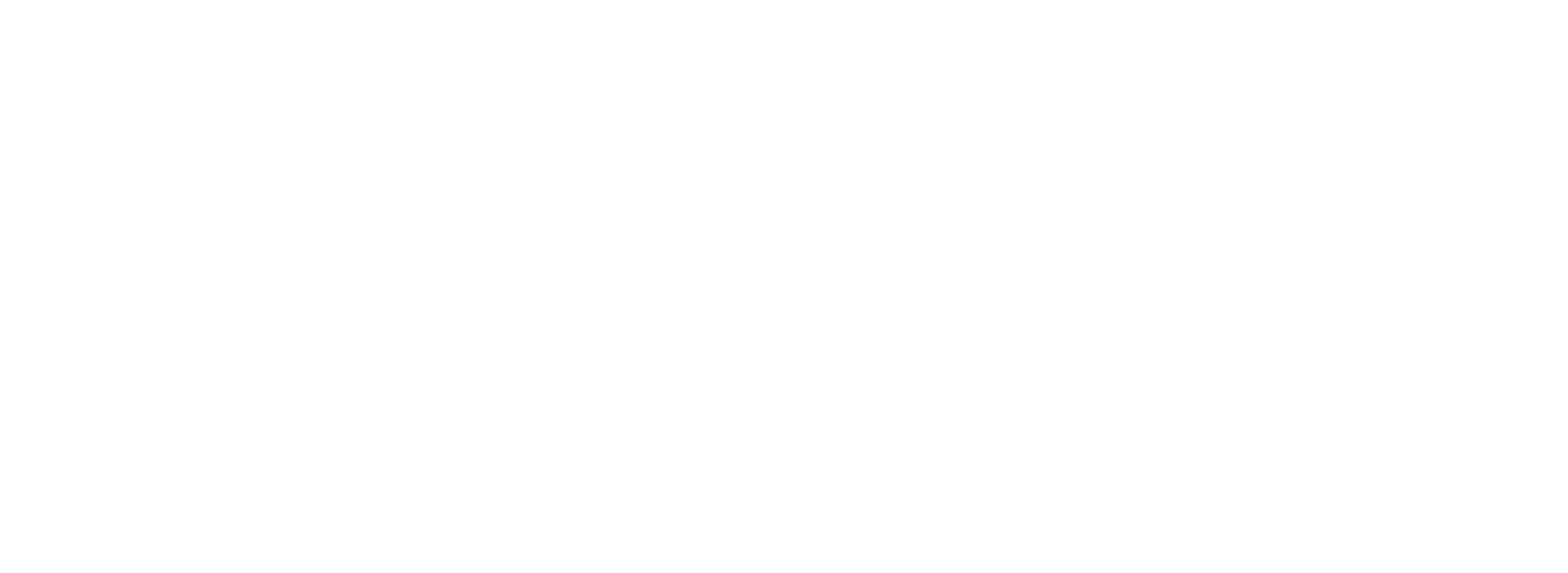 쌍룡회
