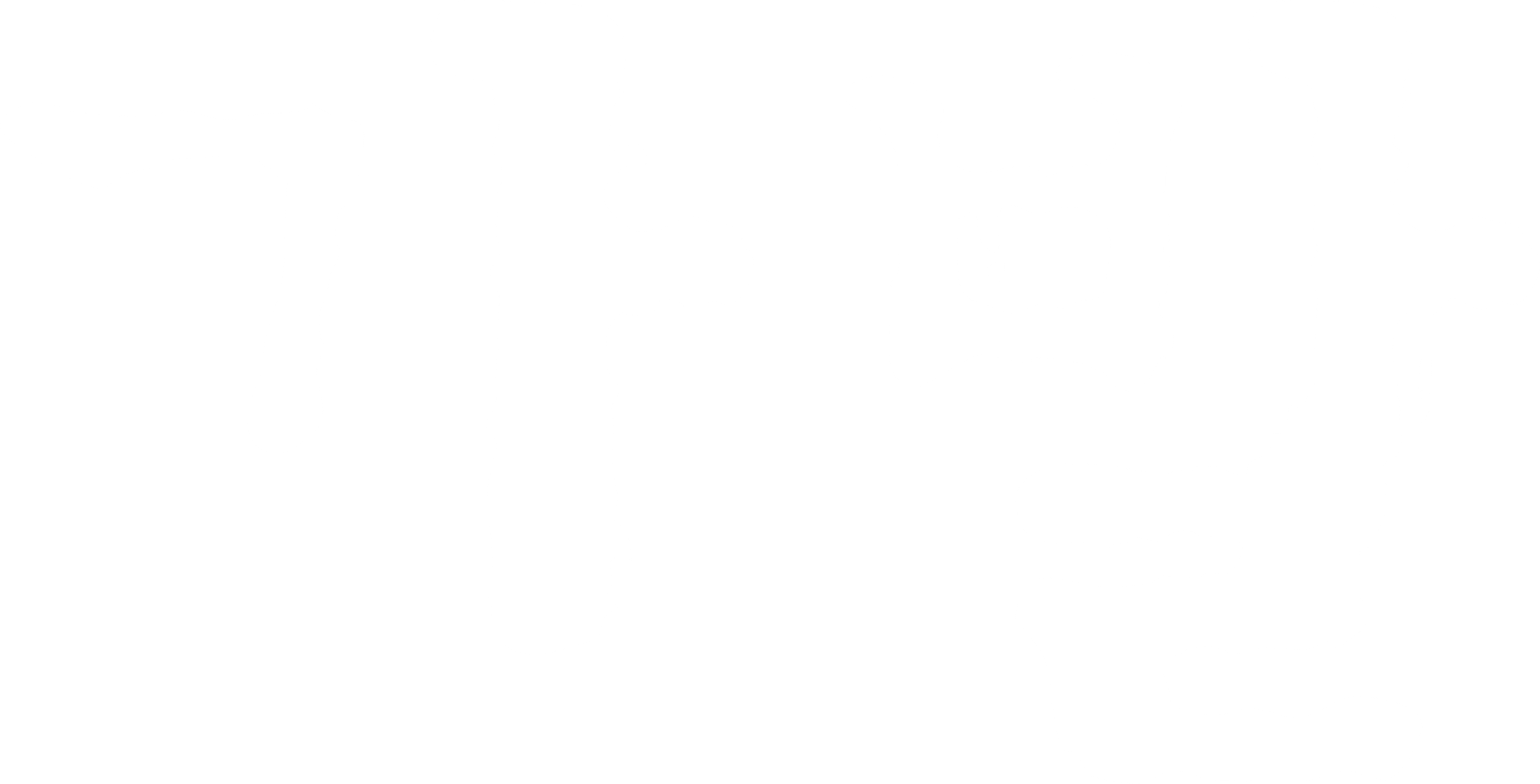가발