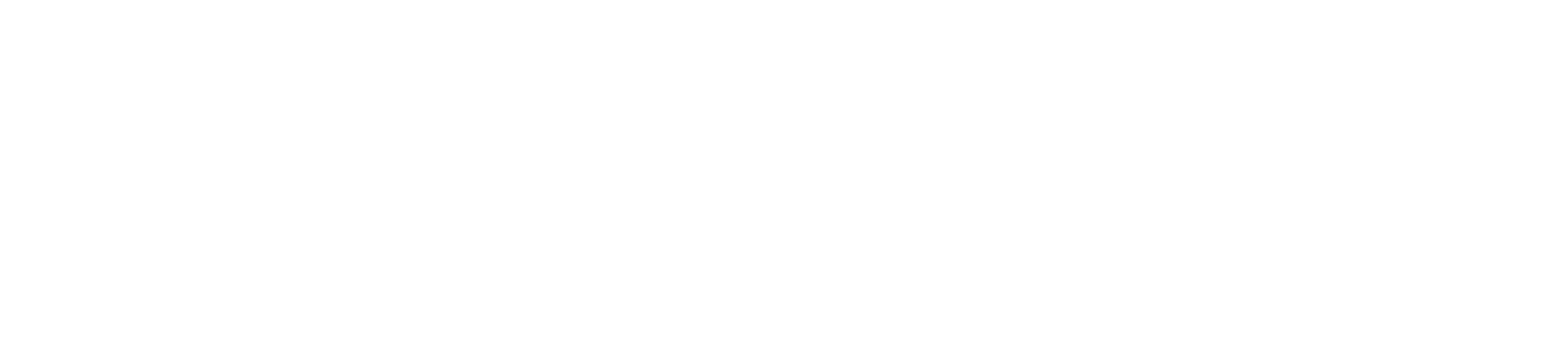 위시마스터