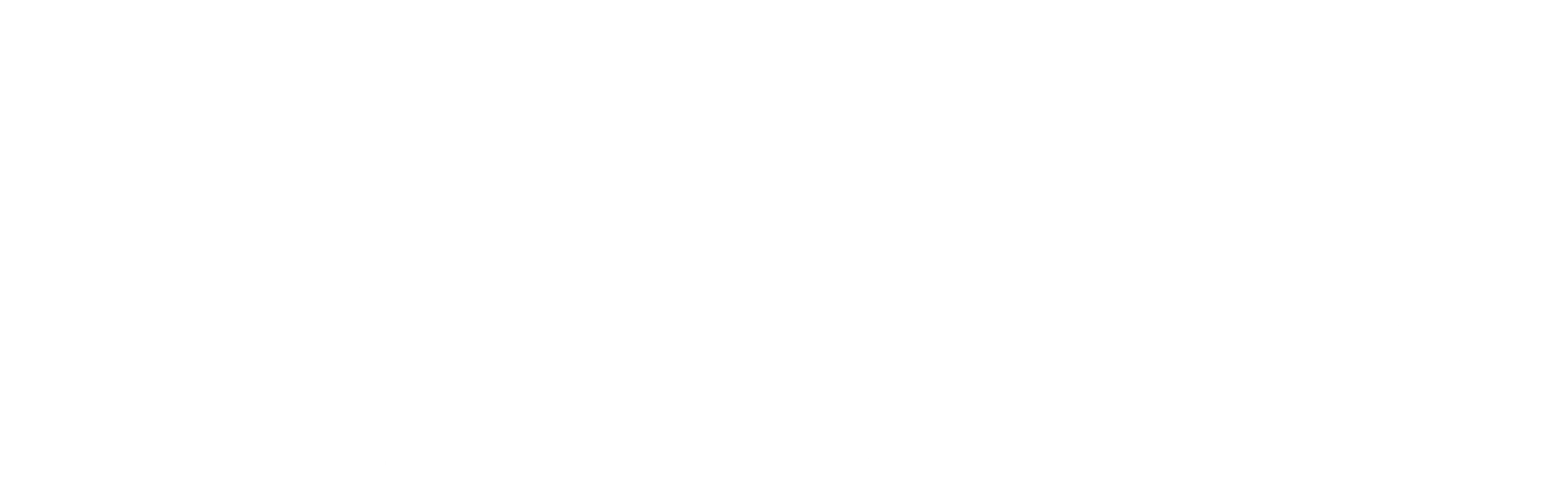 당신이 버린 개에 관한 이야기