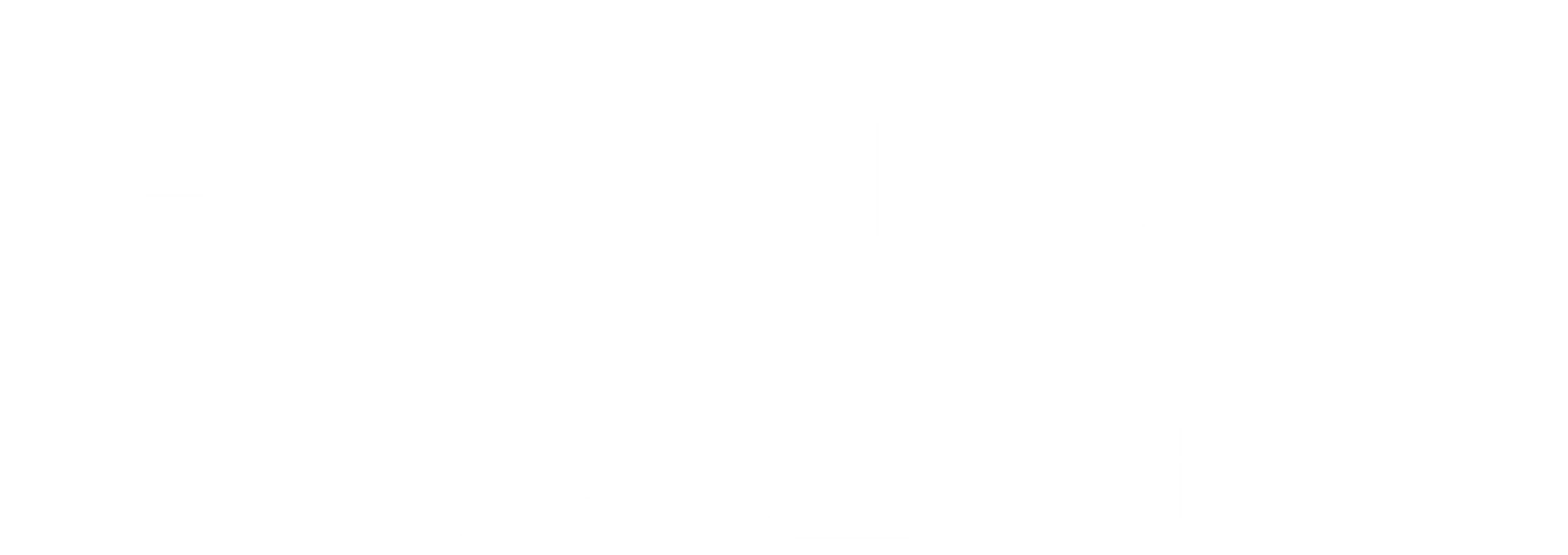 바이킹 데스티니