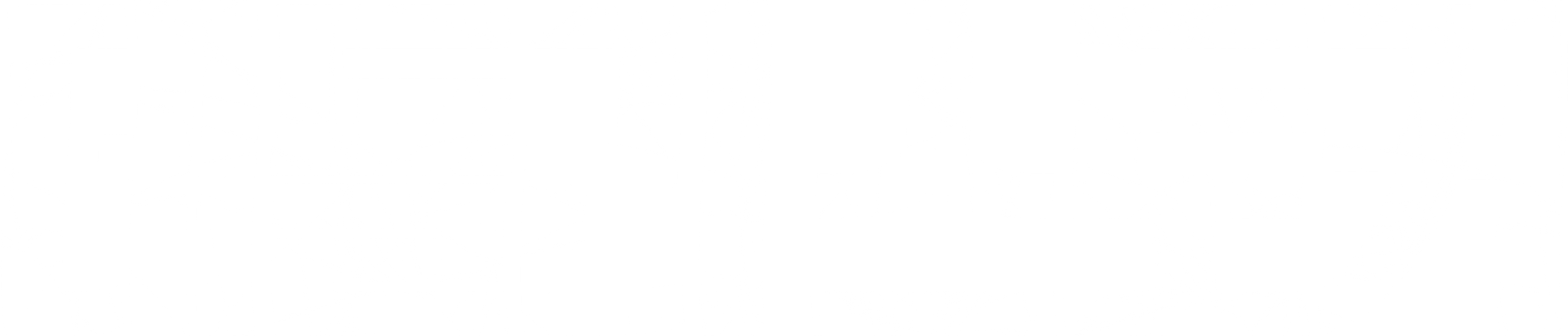 데들리 스토커