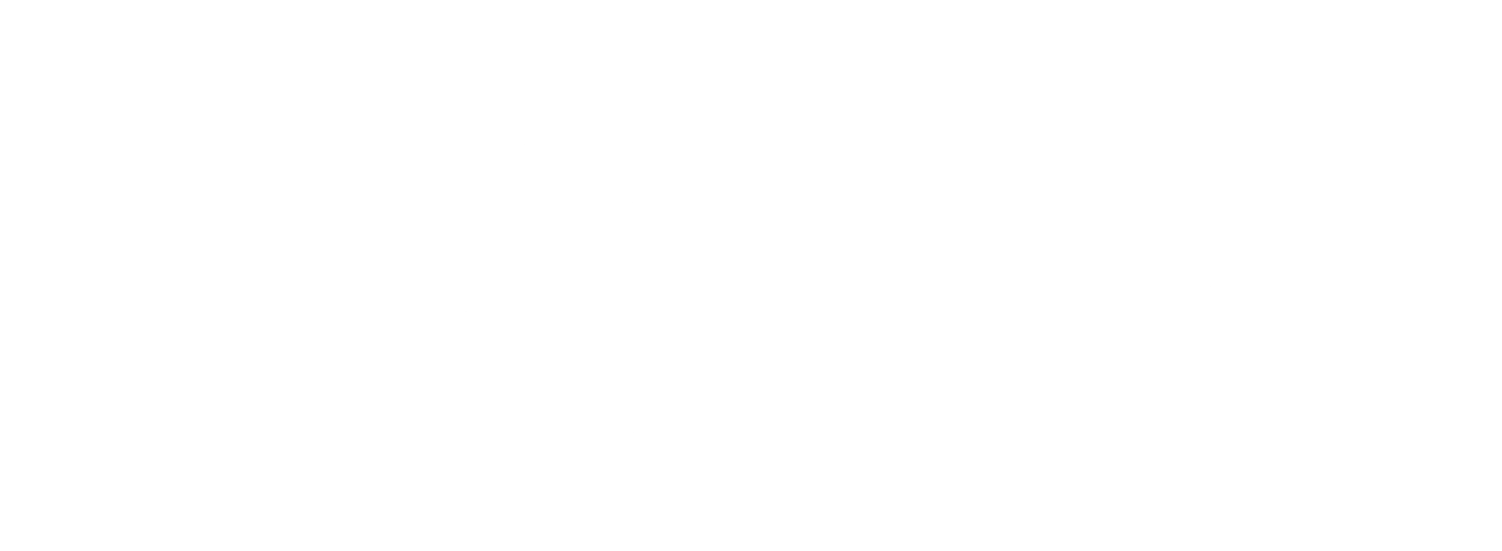 밍크고래의 춤