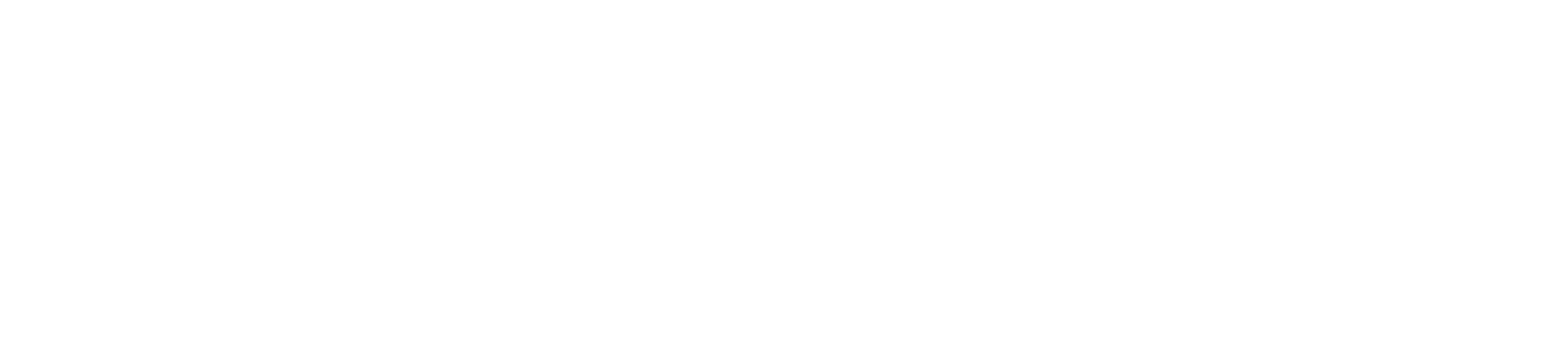 악질경찰